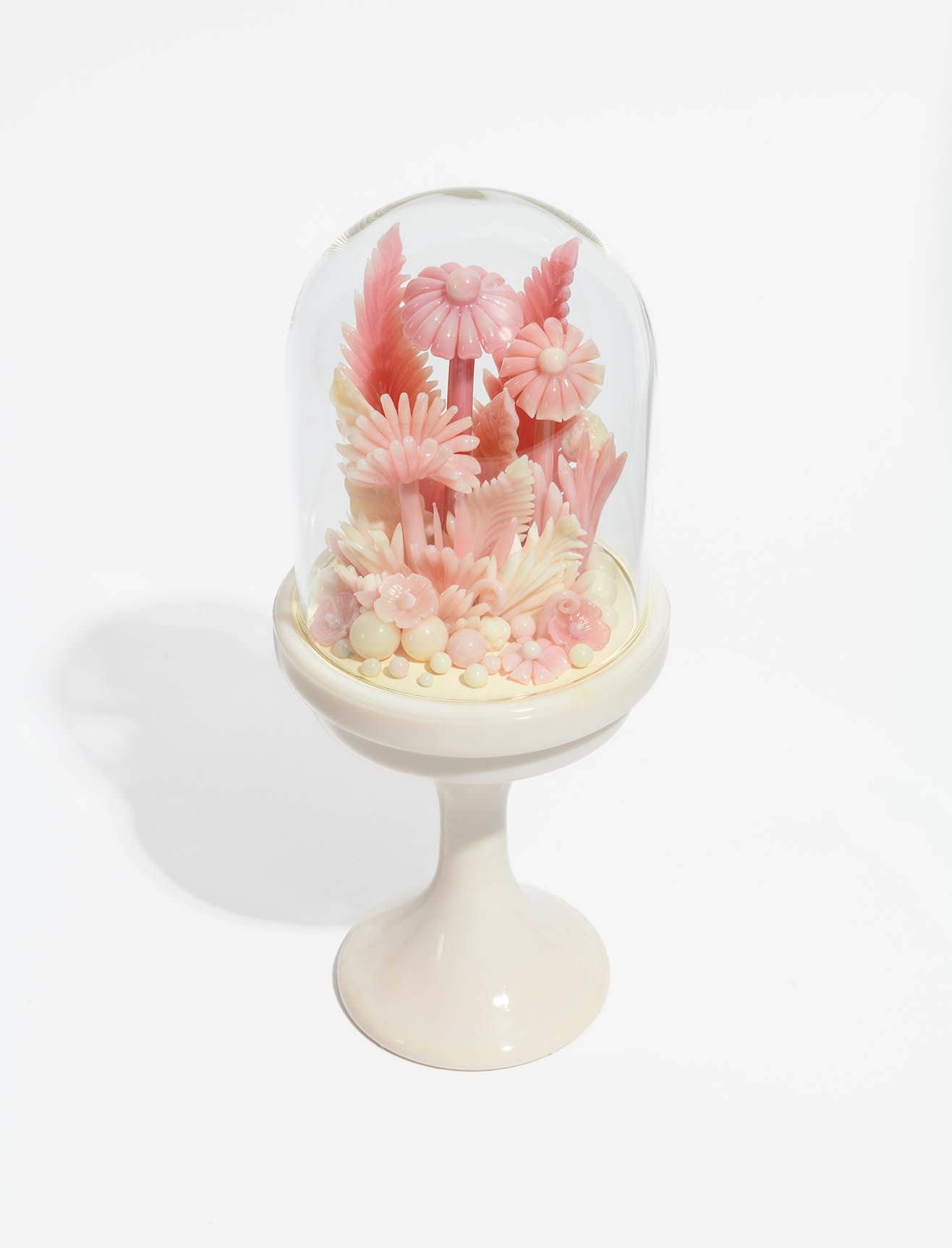 Amber Cowan, Burmese and Rosalene in Almond Cloche