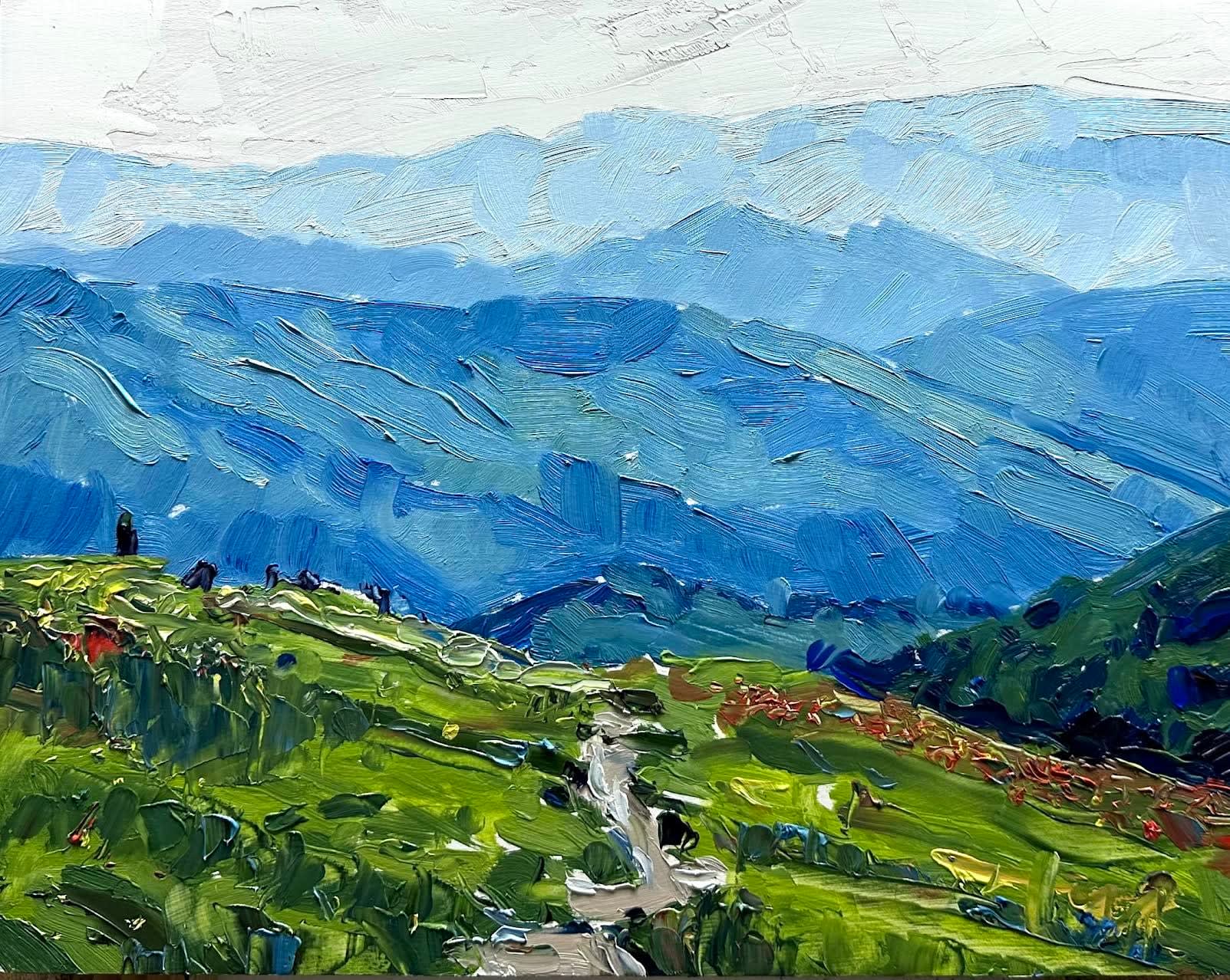 David Shingler, Summer Trail, Blue Ridge Mountains, NC