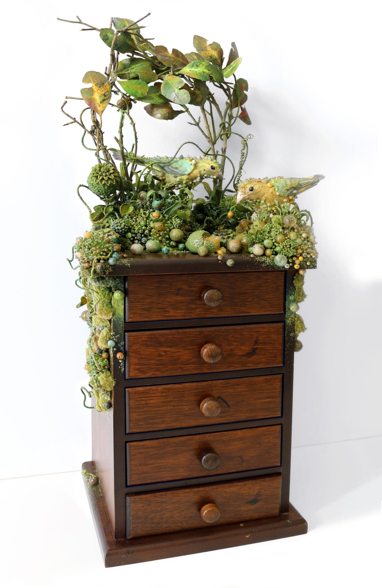 Amy Gross, Passerina Femella