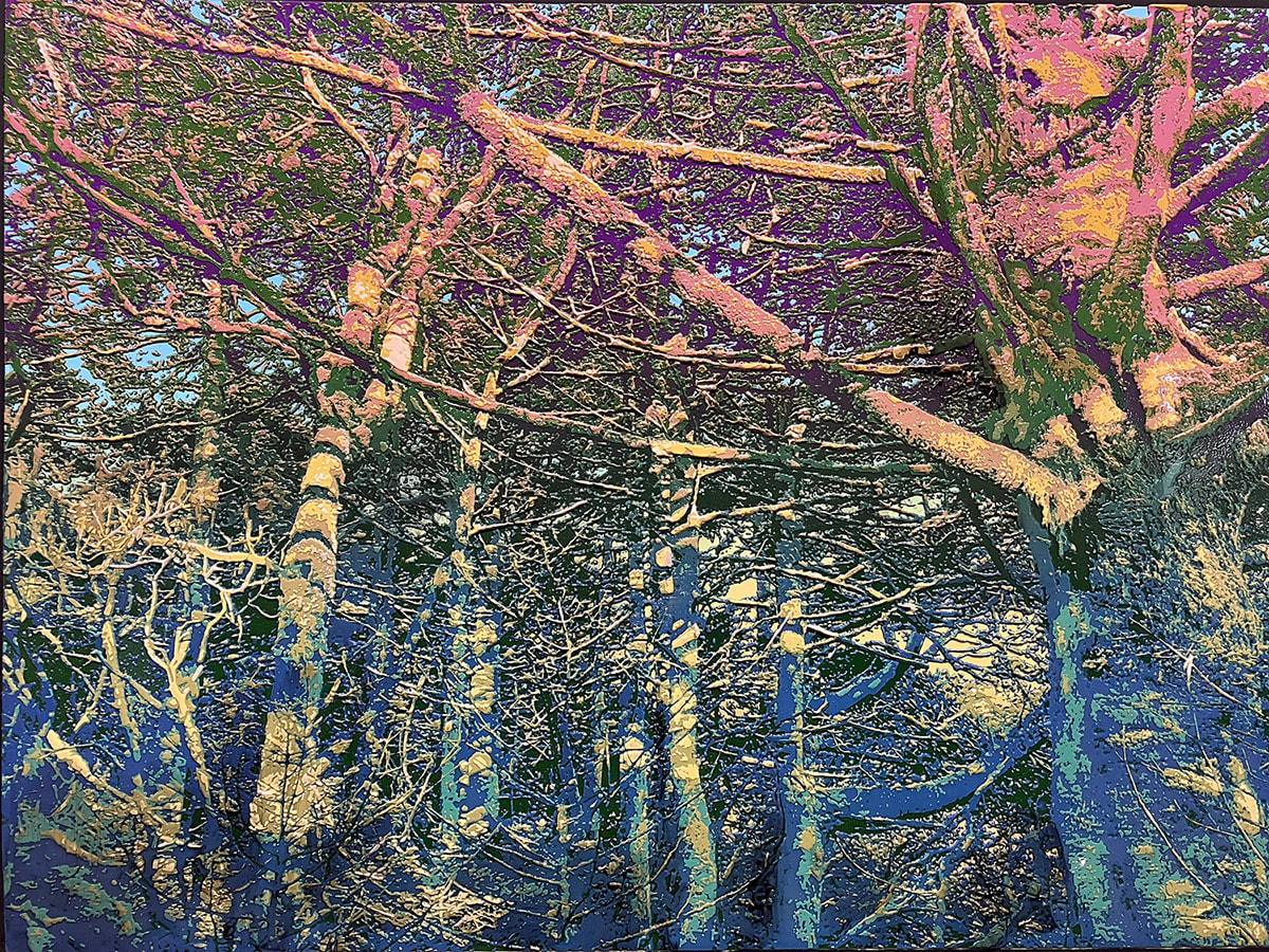 Bradlee Shanks, Roan Forest