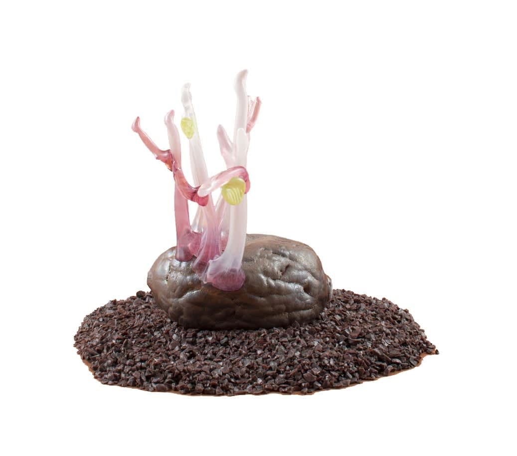 Deborah Czeresko, Forgotten Potato 26