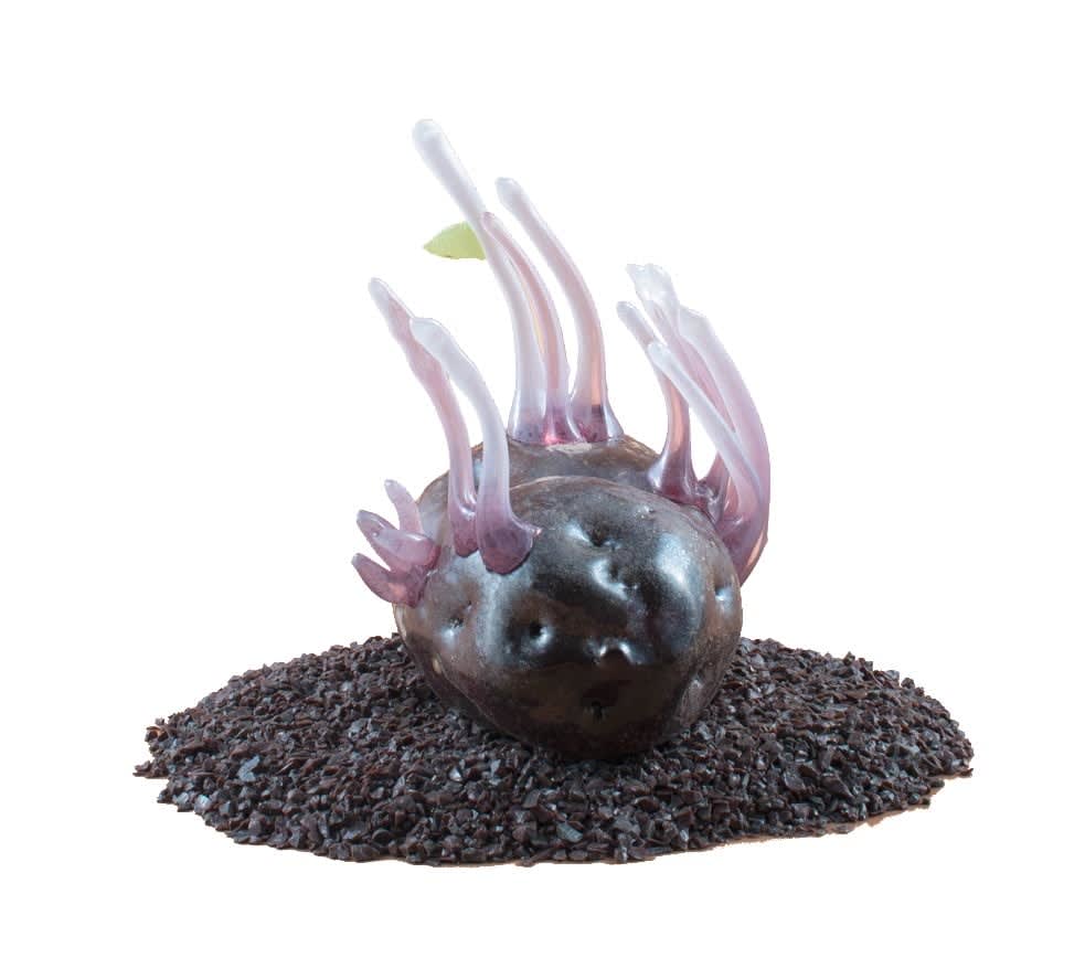 Deborah Czeresko, Forgotten Potato 13