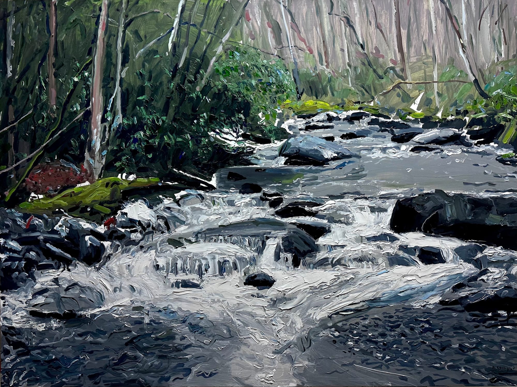 David Shingler, Flowering River, North Carolina