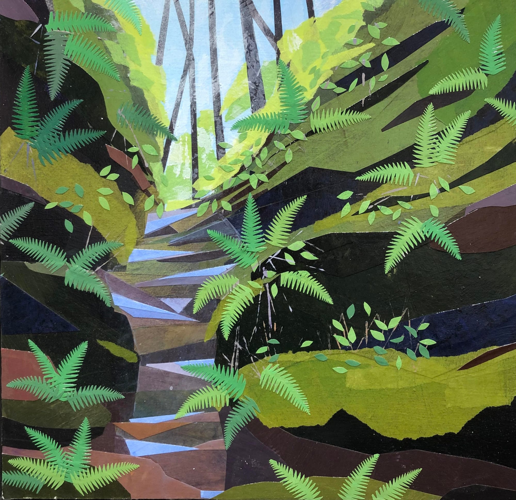 Meg Lagodzki, Fern Canyon No. 2