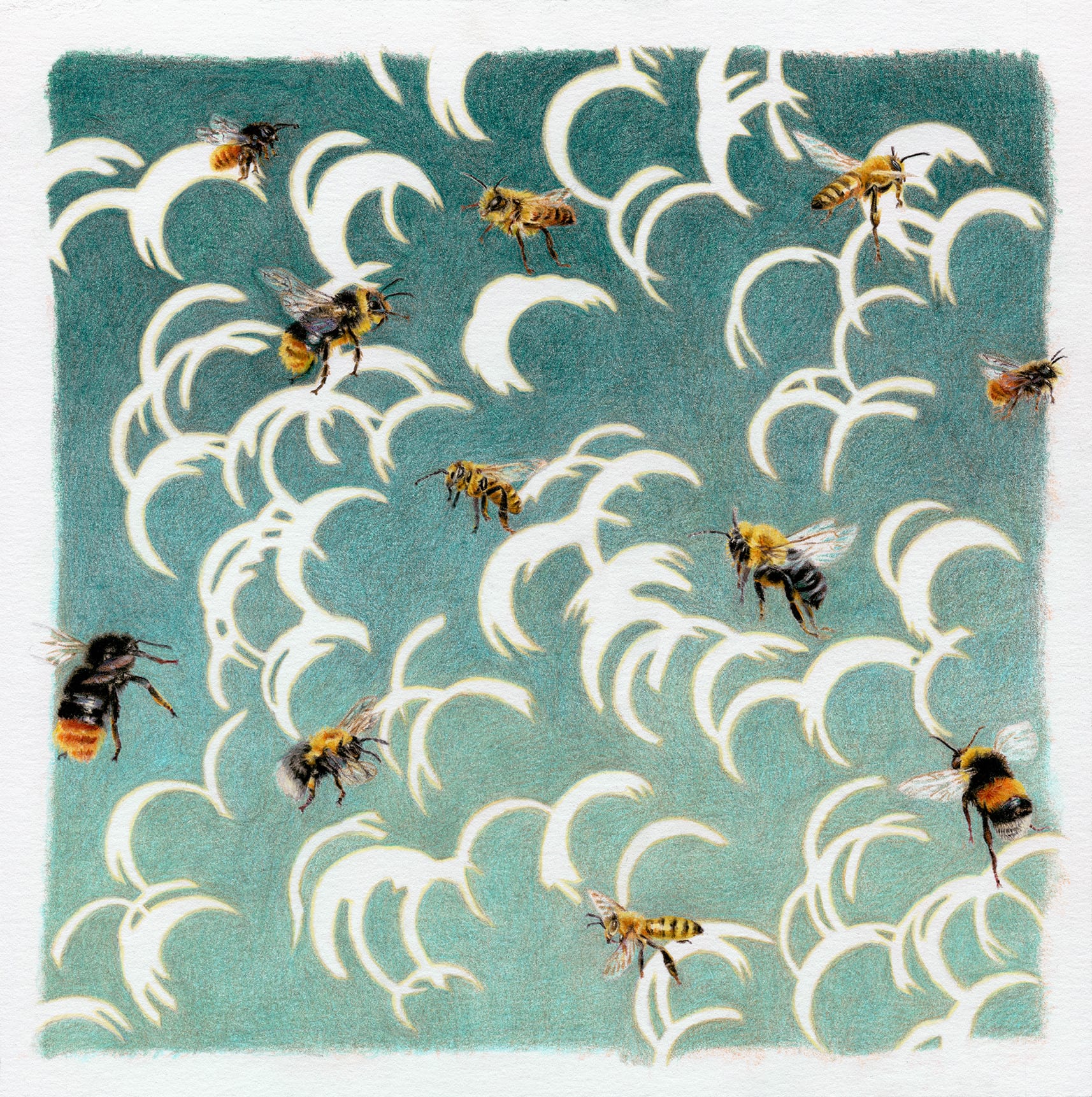 Jessica Tenbusch, Eclipses (Bees)