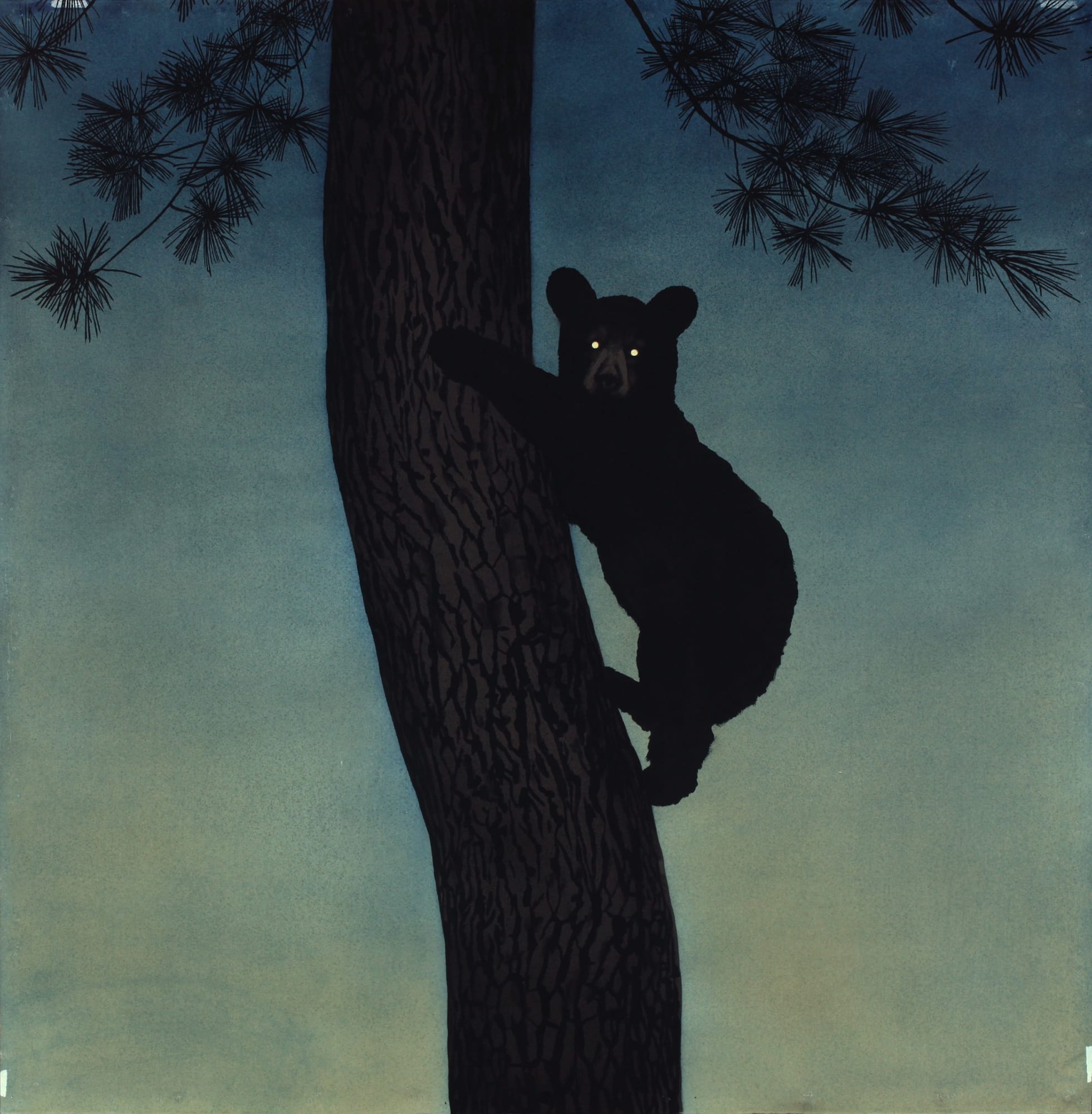 Casey Roberts, Cub in tree