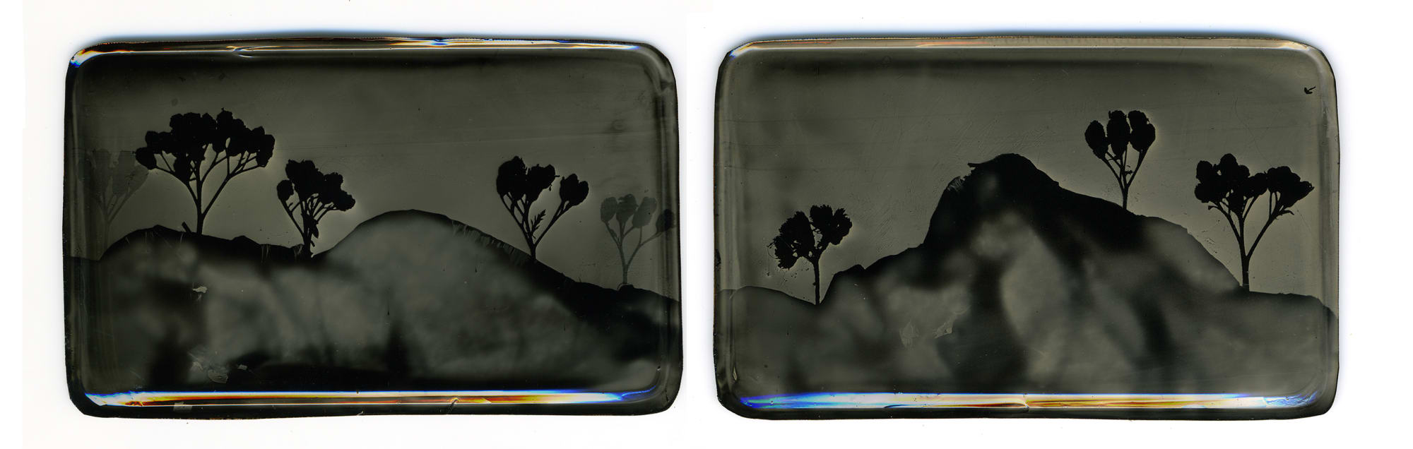 Heather F. Wetzel, Salvage: Constructed Landscape No.37 & 35 (diptych)