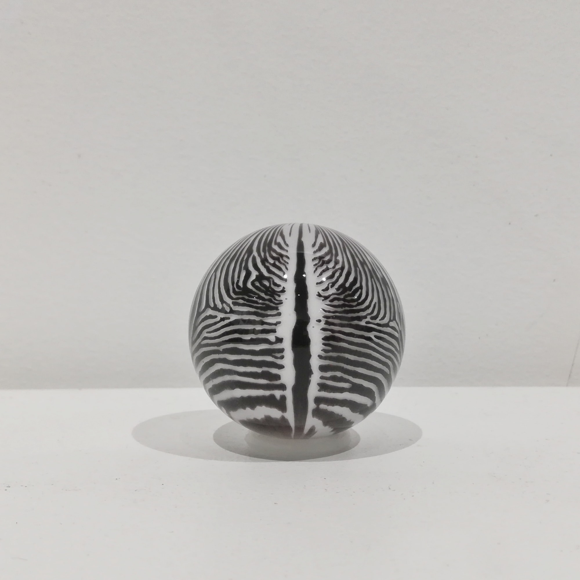 Mark Matthews, Baby Grevy's Zebra