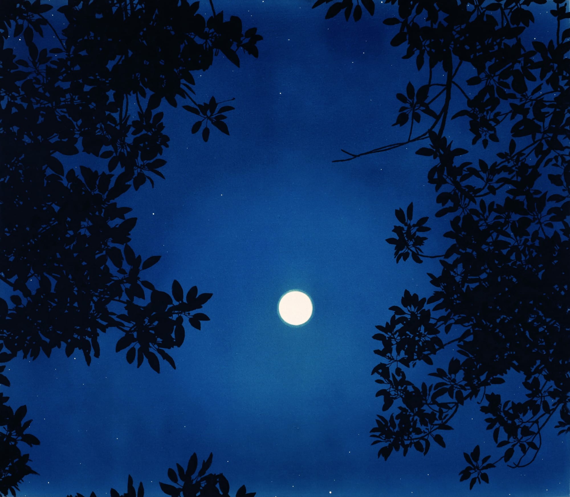 Casey Roberts, Full Moon