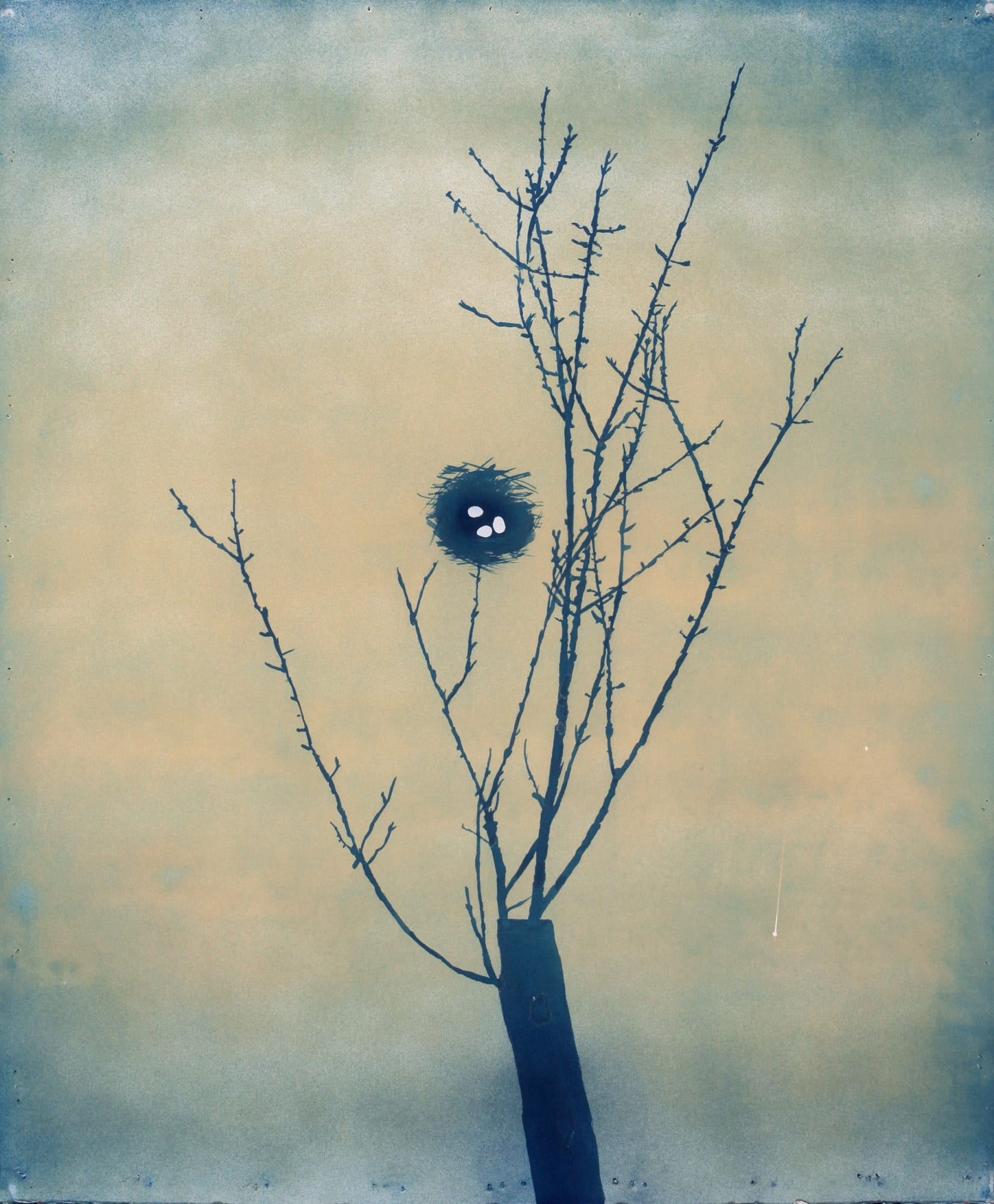 Casey Roberts, Robin Nest