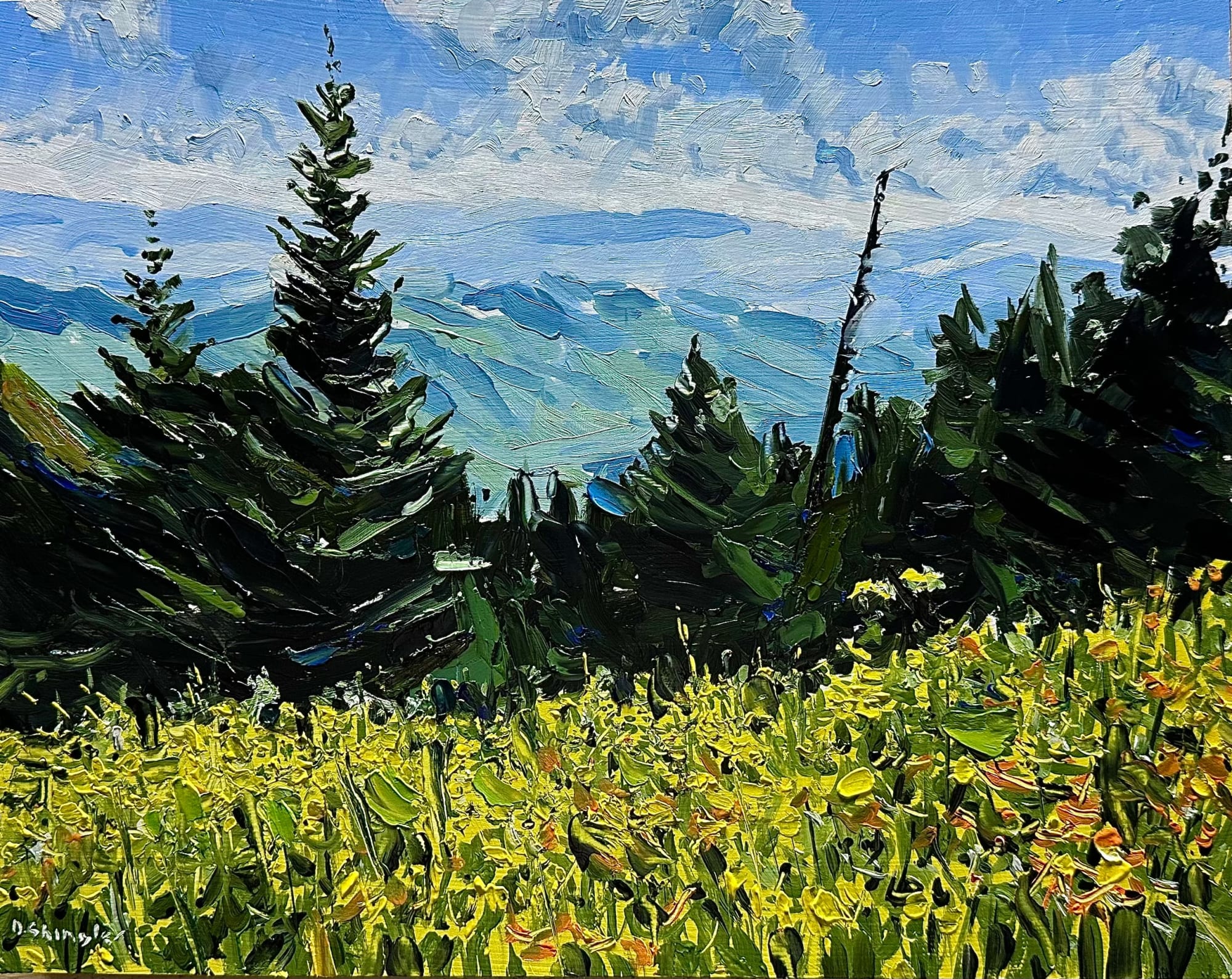 David Shingler, Wild Flowers, NC