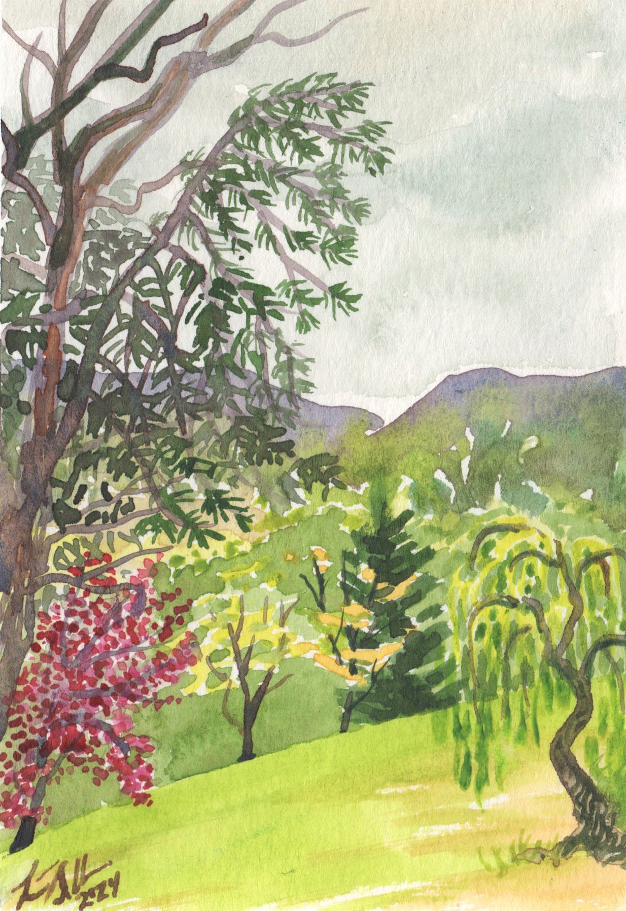 Laura Sellers, April in East Asheville