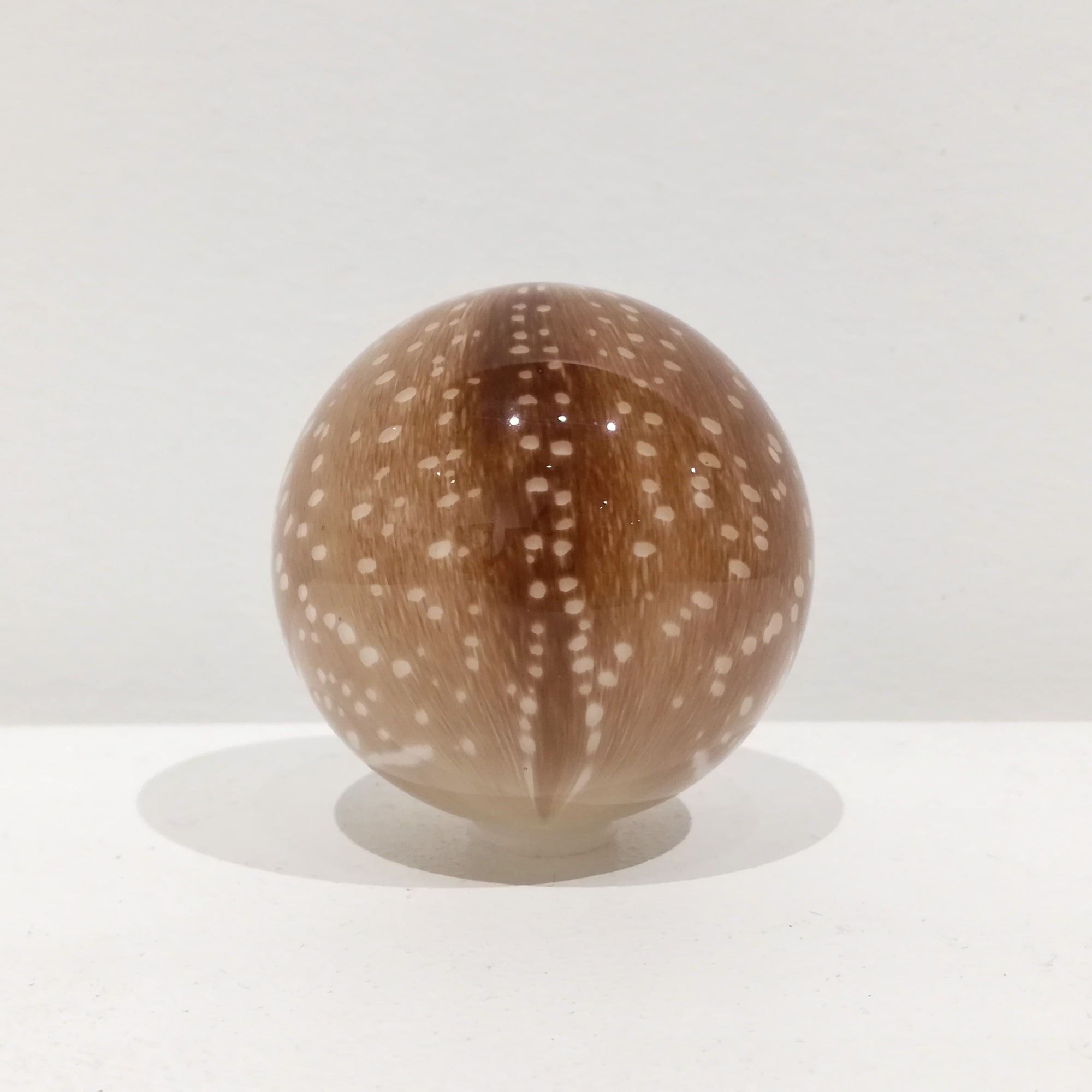 Mark Matthews, Axis Deer