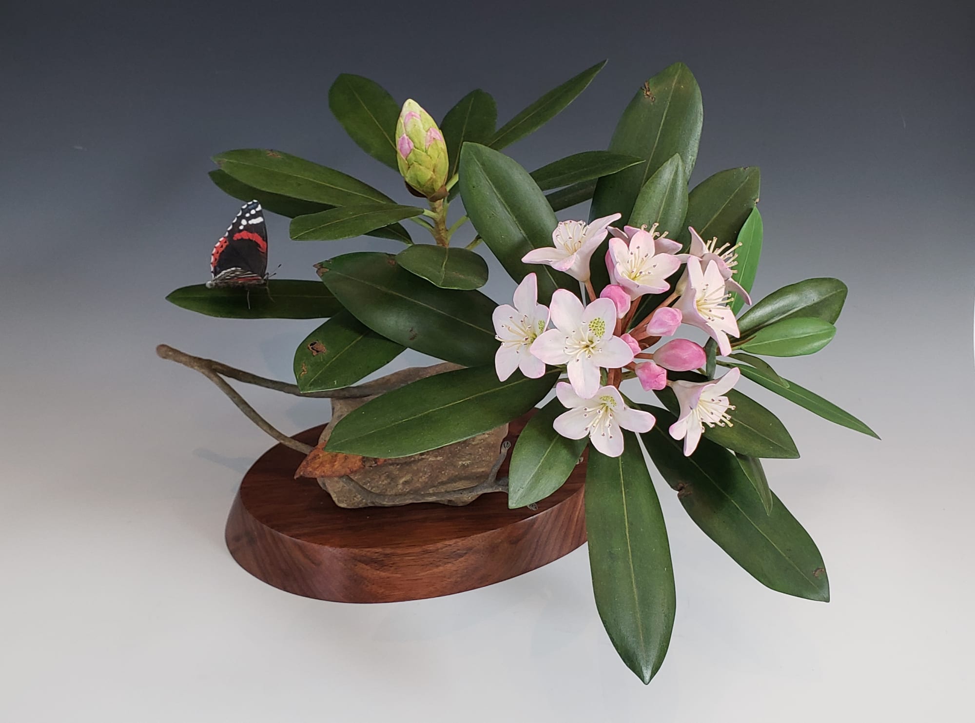 Jim Sams, Rosebay Rhododendron with Red Admiral Butterfly