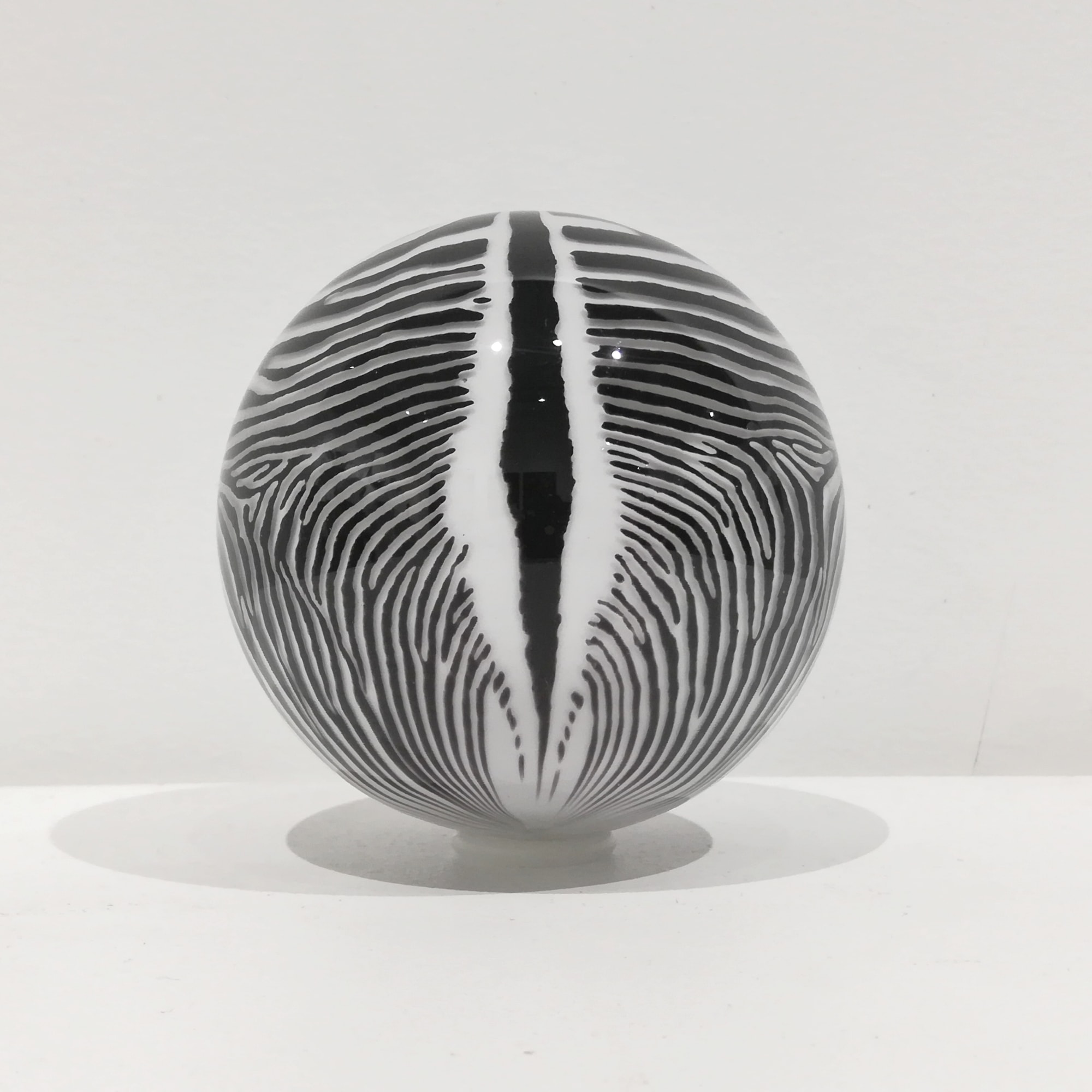 Mark Matthews, Grevy's Zebra