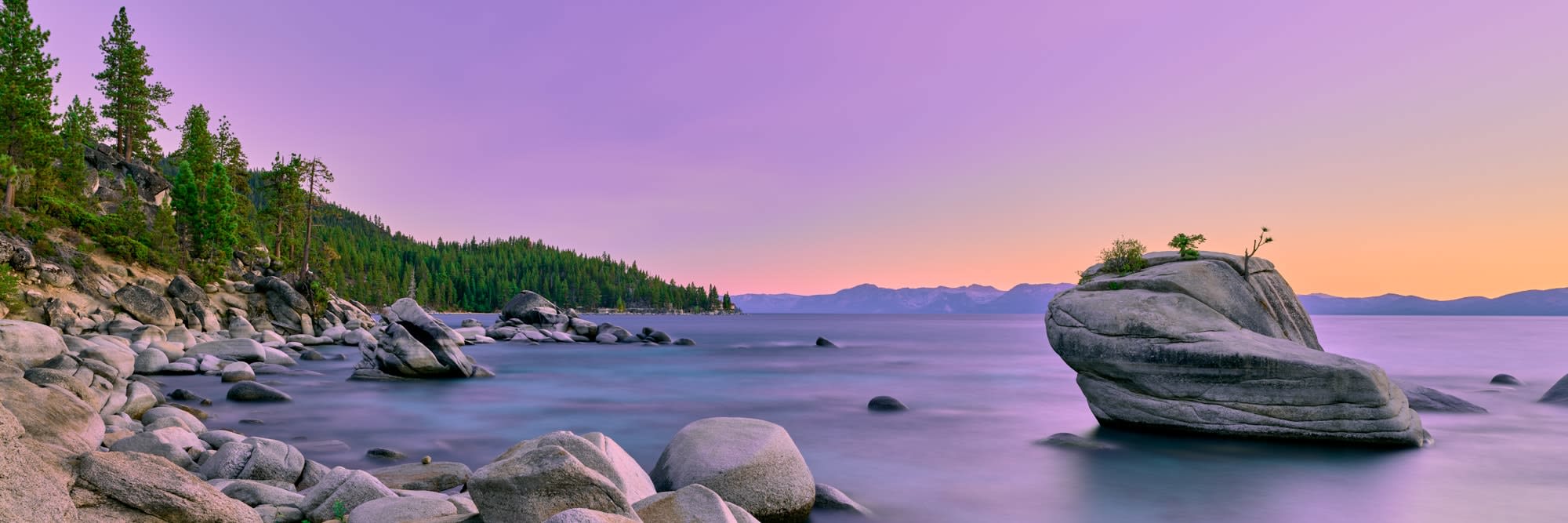 John Knopf, Violaceous