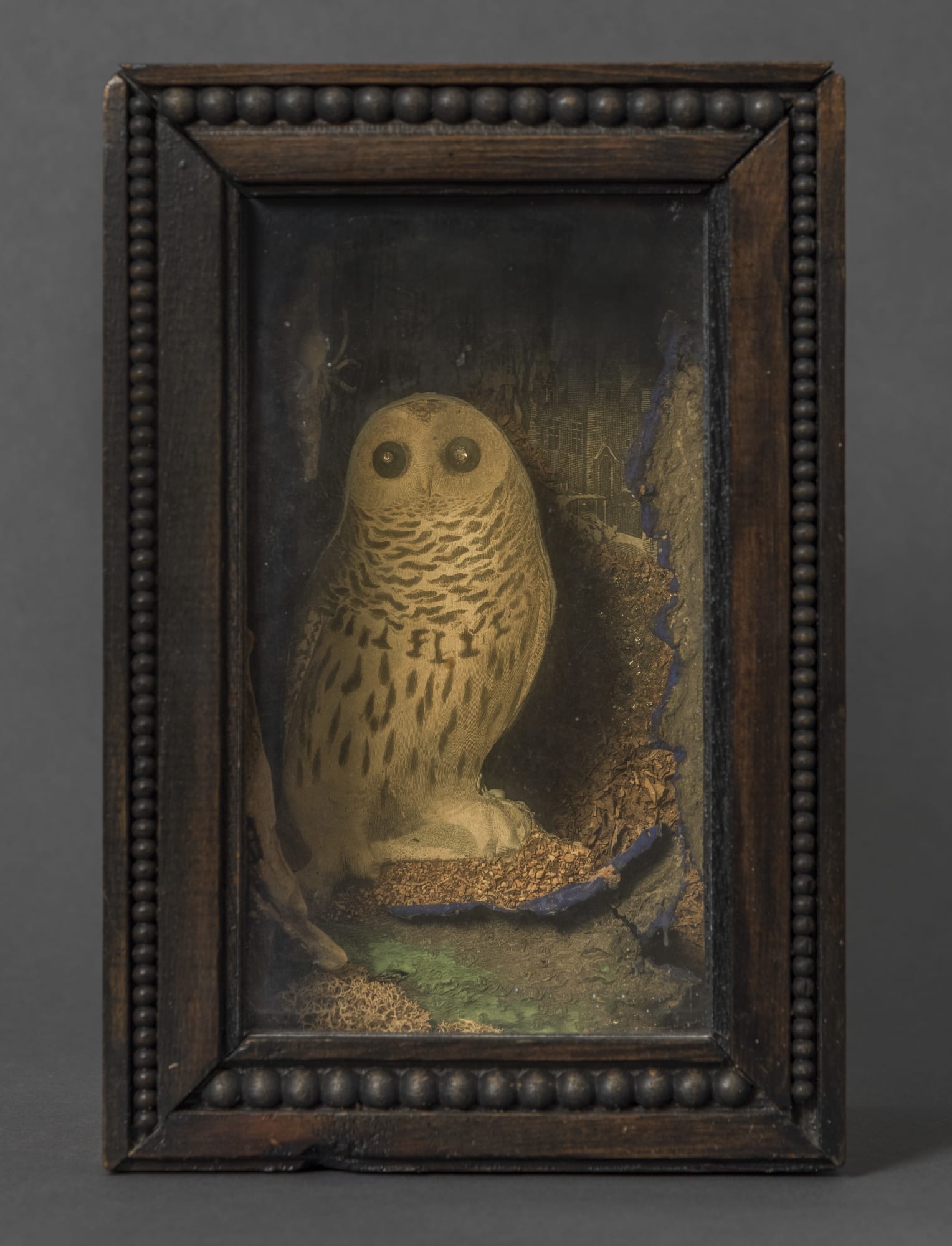 Joseph Cornell, An Owl for Ondine, 1954