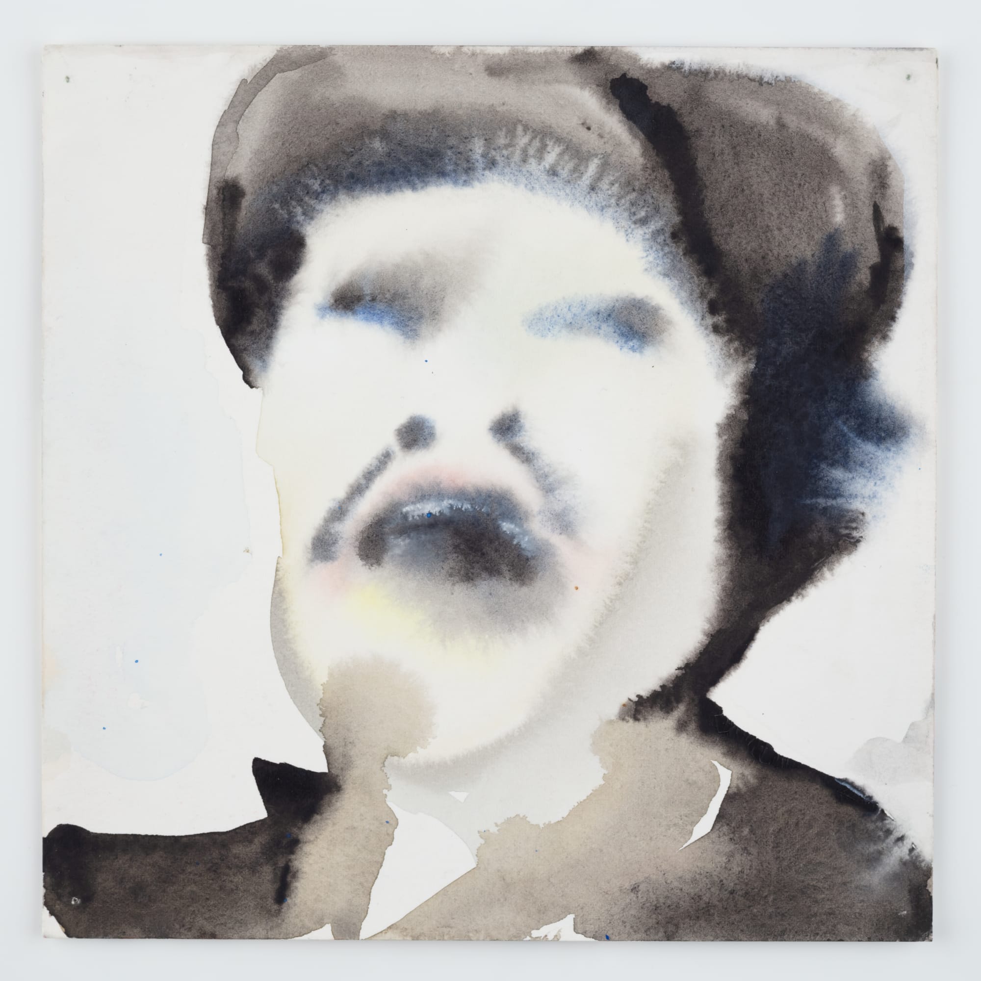 Jamie Romanet, Catching Snow, 2006