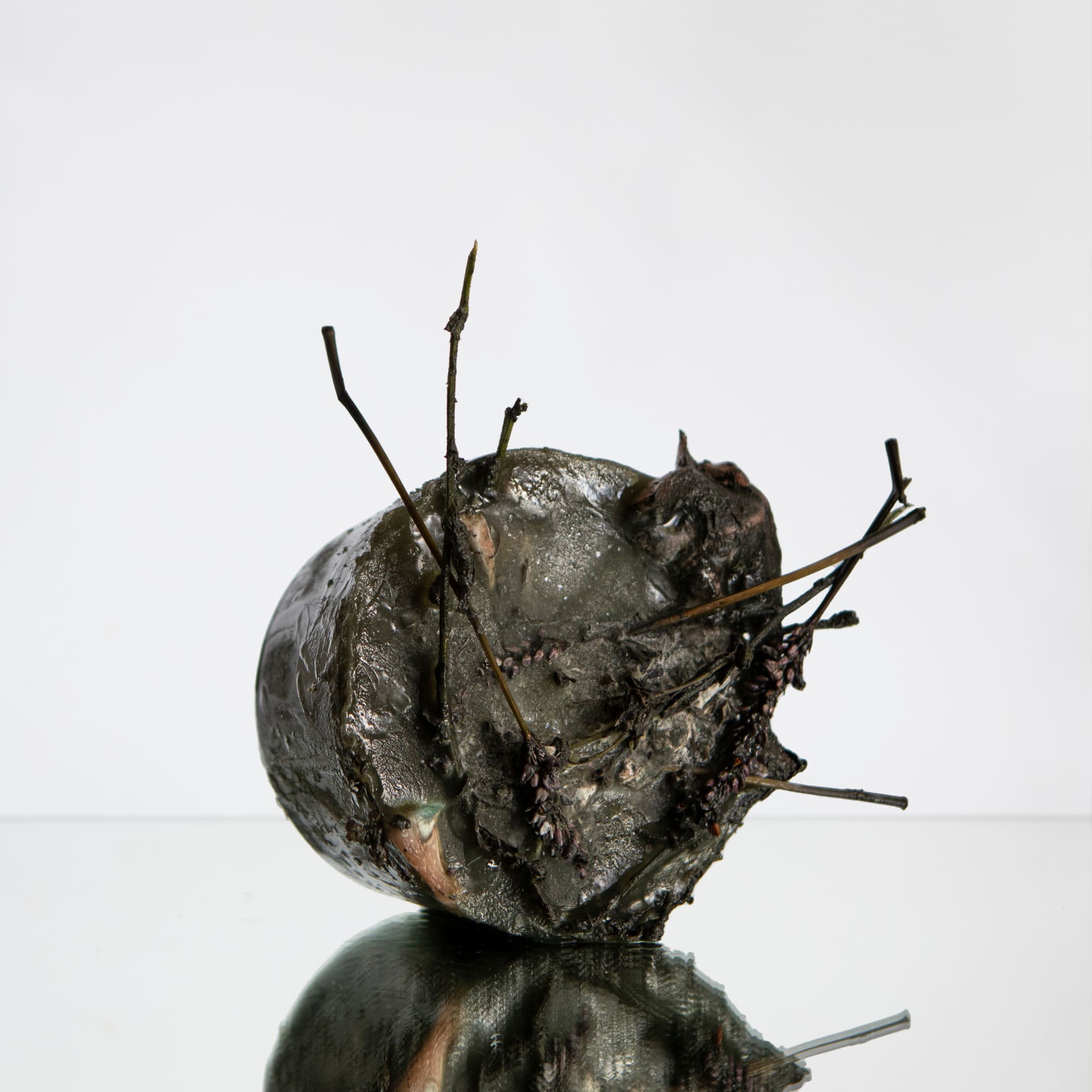 Jana Romanova, Thom, 2024