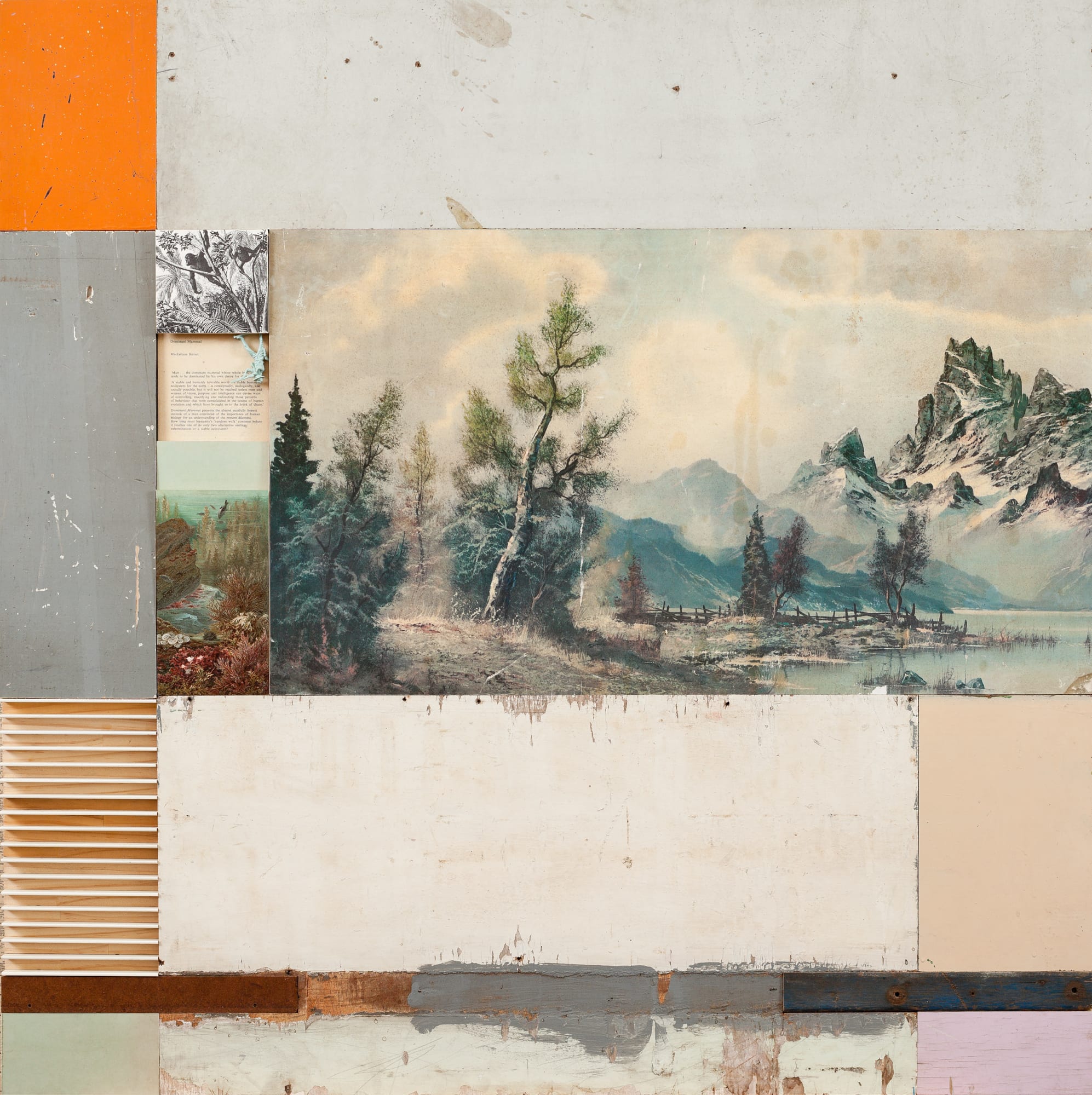 James Powditch, Animal Kingdom , 2021