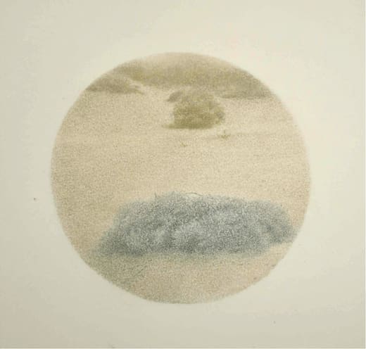Shan Weijun, Arbuste dans le désert 8, 2023