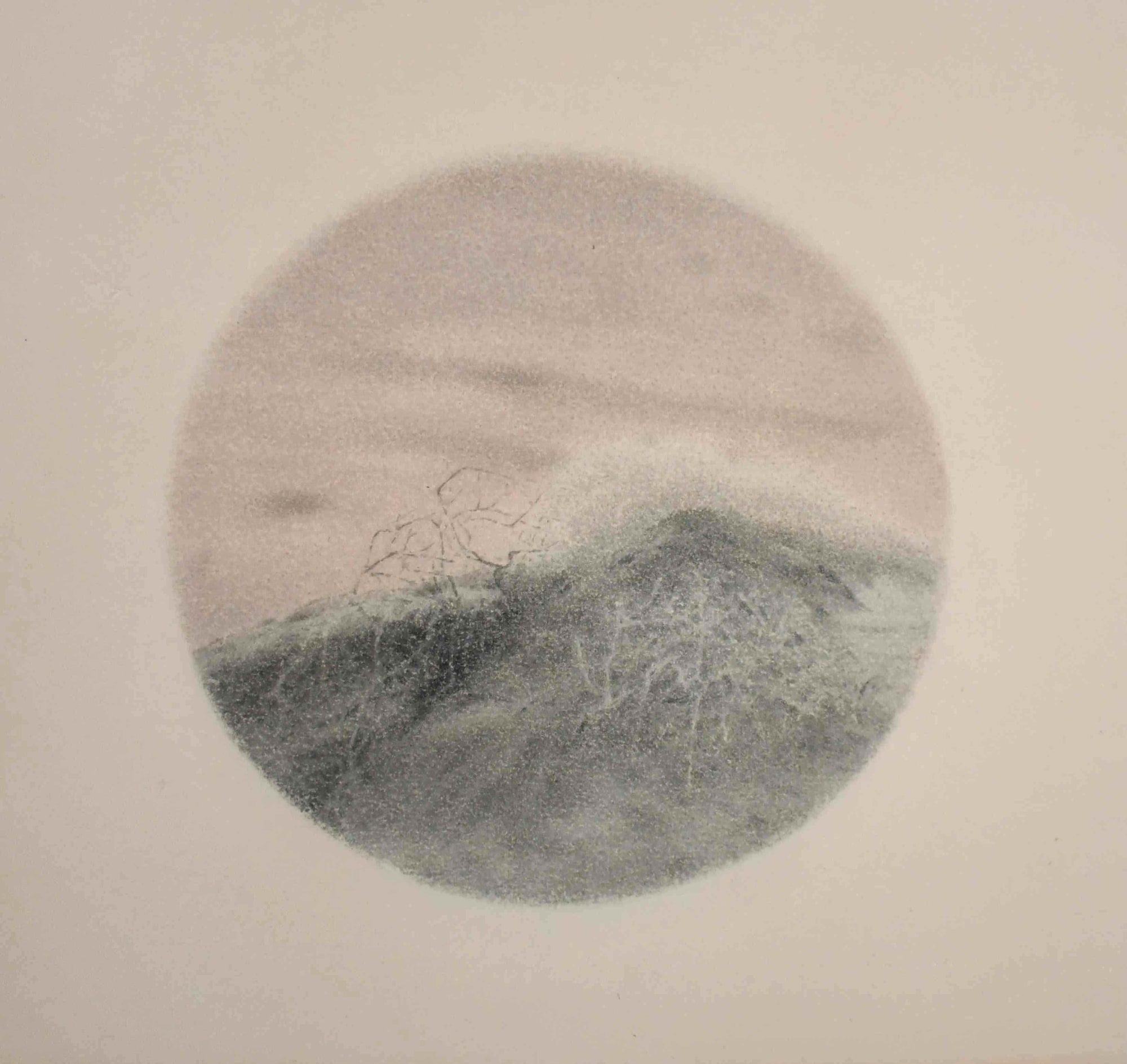 Shan Weijun, Arbuste dans le désert 2, 2023