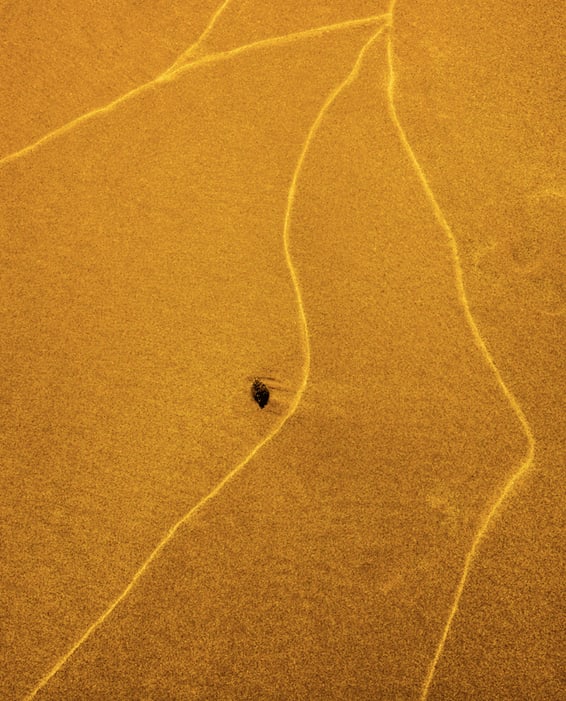 Lotte Ekkel, Kintsugi, 2022