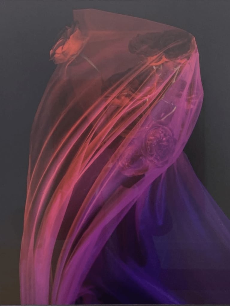 Addie Wagenknecht, Ghost No. 5, 2021