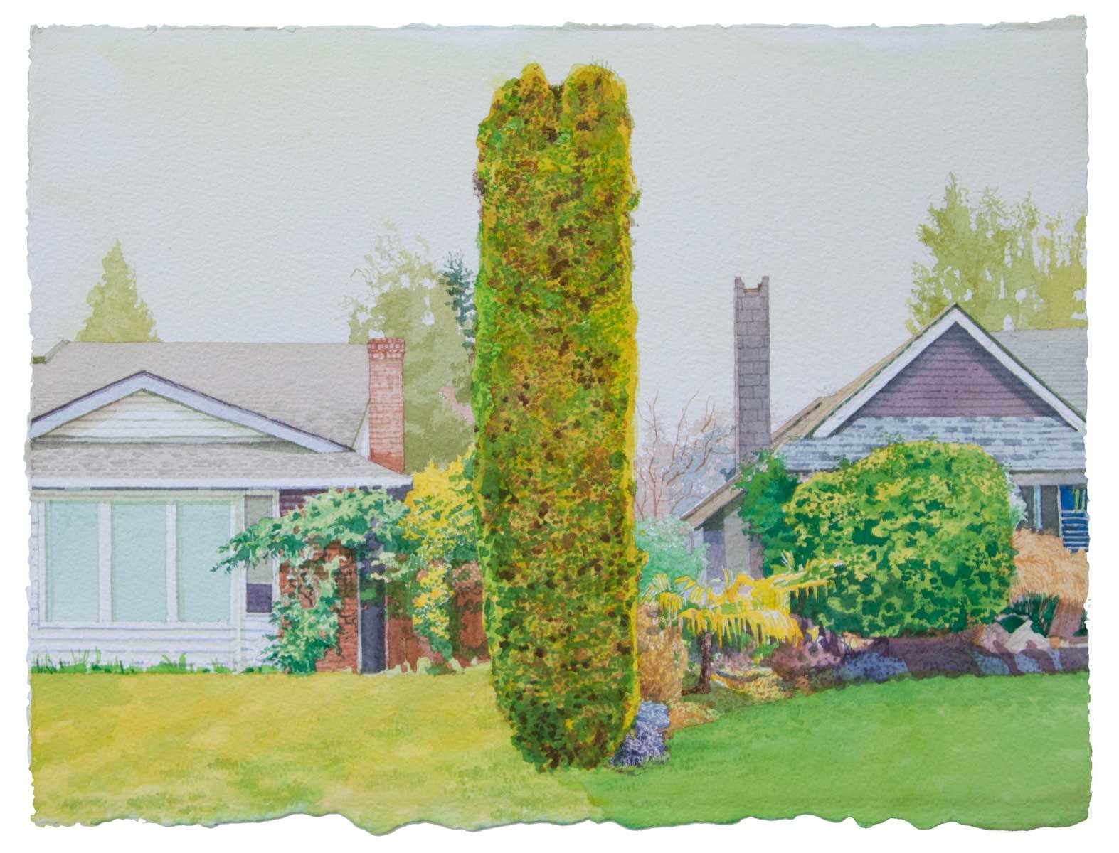 Daniel Granitto, Right Down the Center (Hedge), 2021