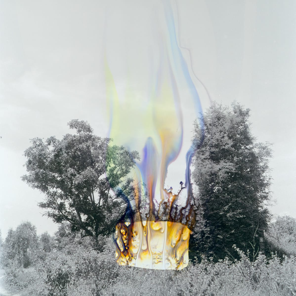 Tada Hengsapkul, Invisible colours 03, 2016