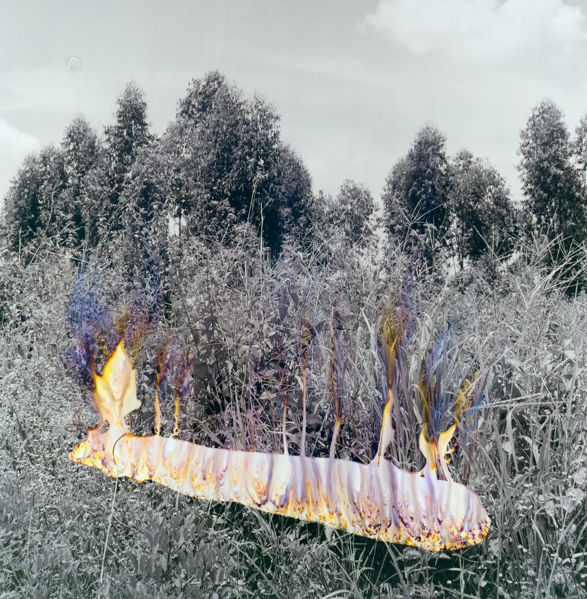 Tada Hengsapkul, Invisible colours 02, 2016