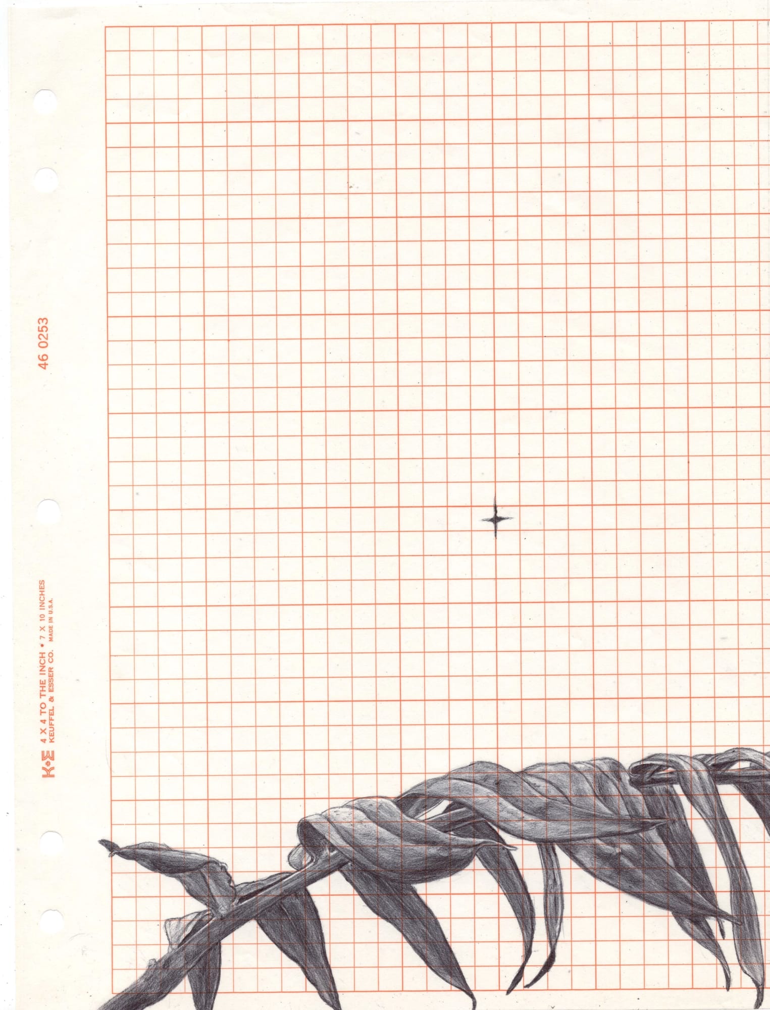 Neva Hosking, The Last Garden on Loftus Crescent XVI, 2022