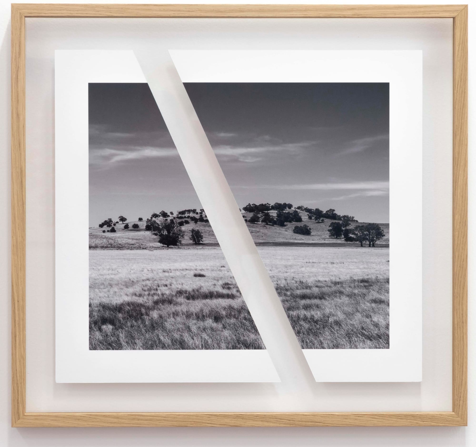 James Tylor, Tapa-arra Through the Landscape 5, 2024