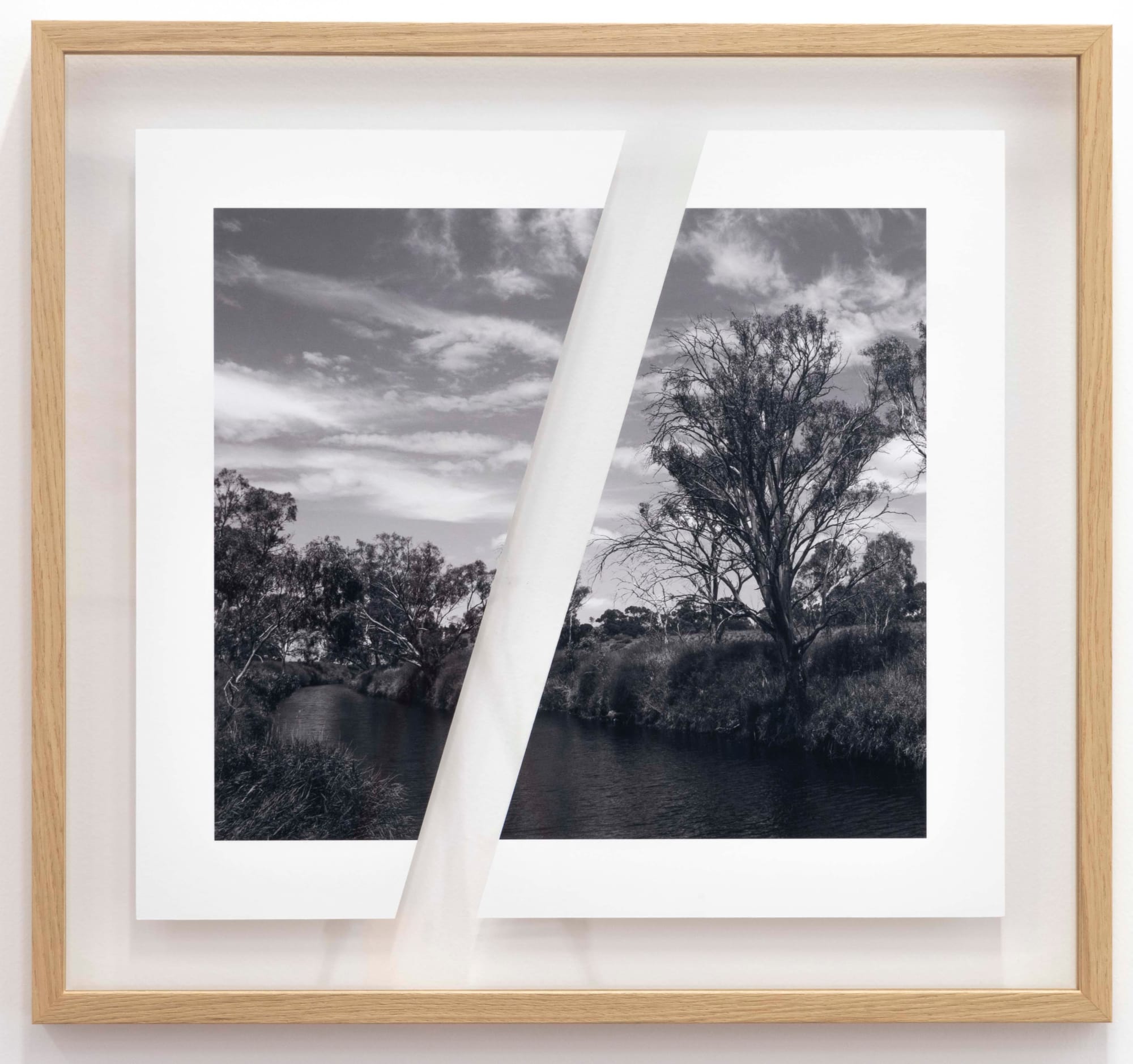 James Tylor, Tapa-arra Through the Landscape 13, 2024