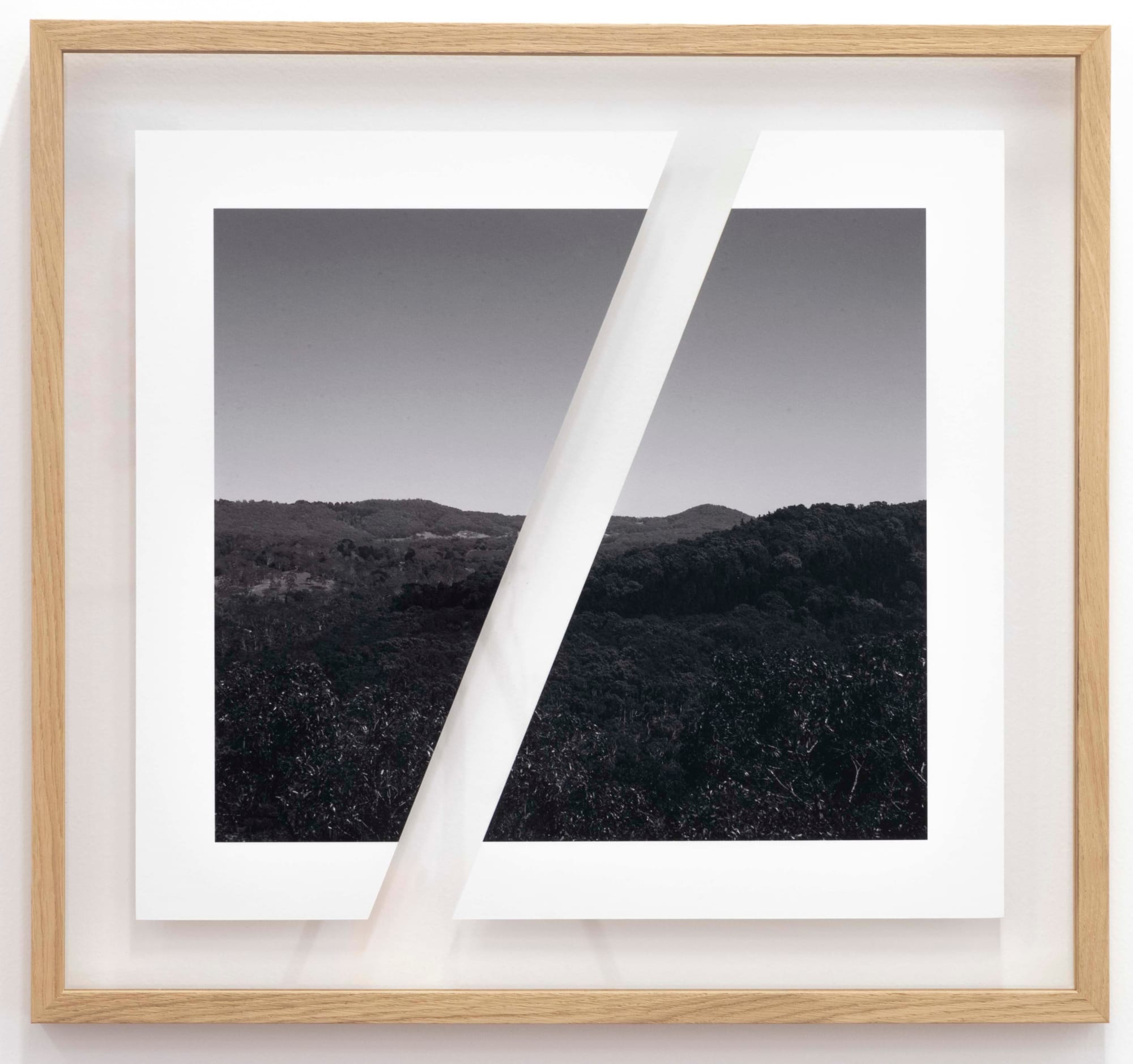 James Tylor, Tapa-arra Through the Landscape 2, 2024