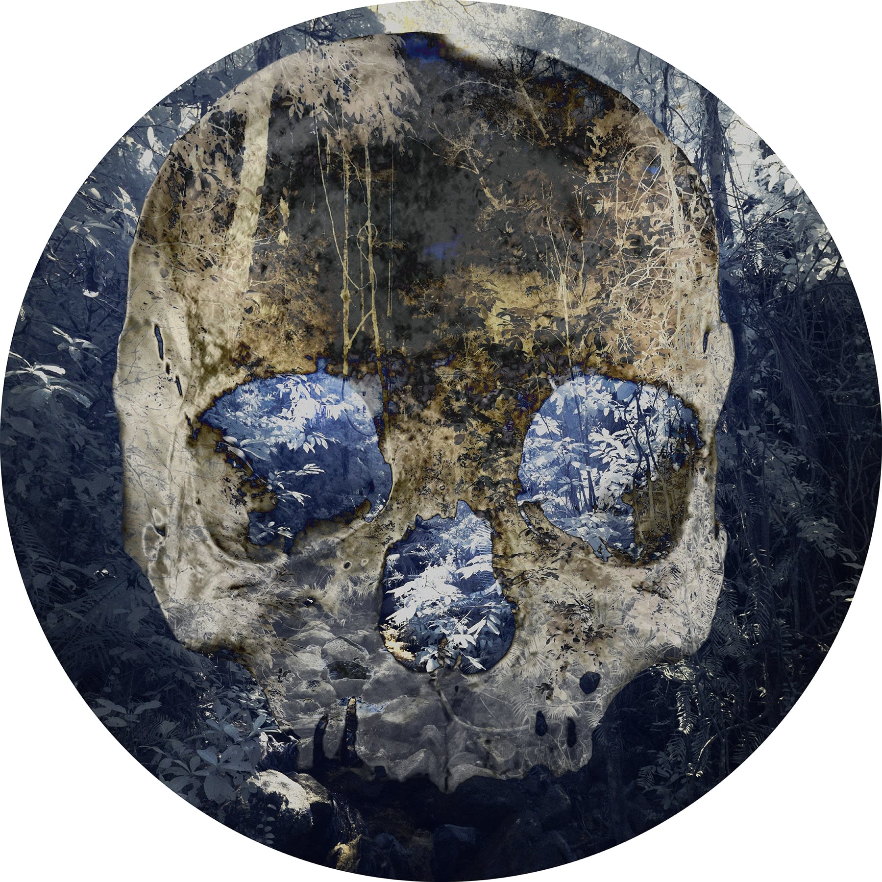 Danie Mellor, Jindagaa [ancestor]: at the fall of night, 2021