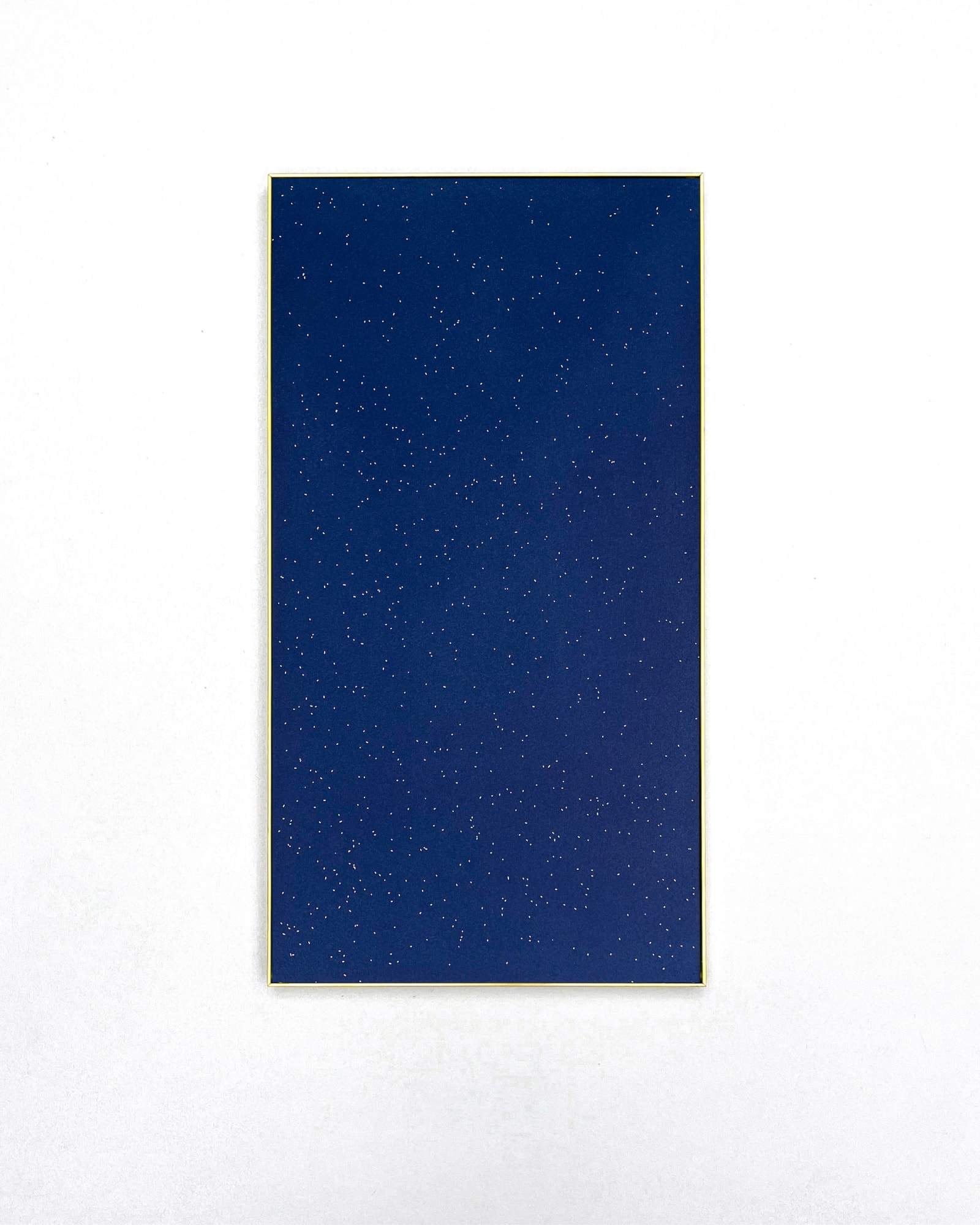 Tom Blake, constellations (leaves in a stream), 2025