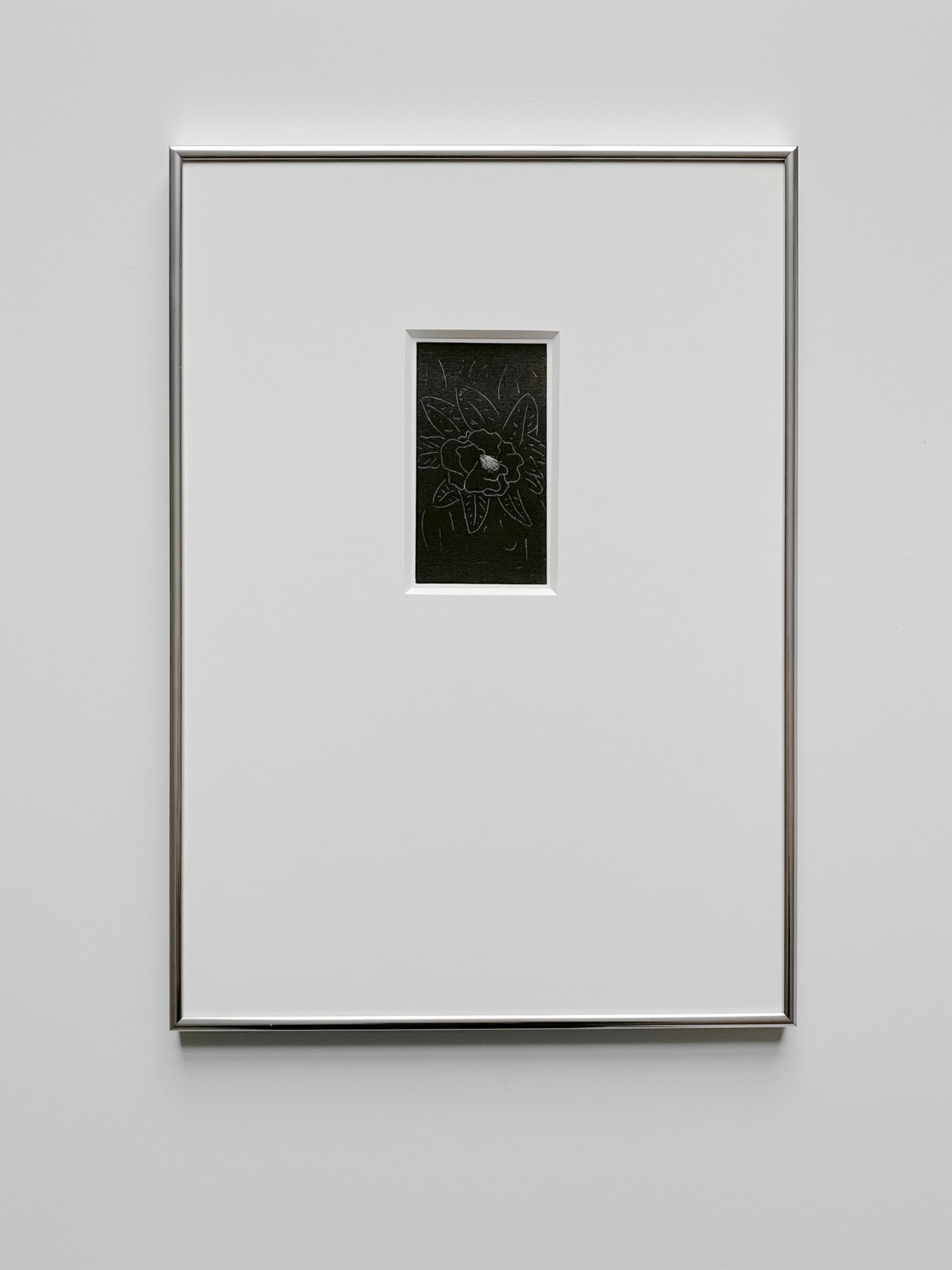 Tom Blake, holding leaves, 2025