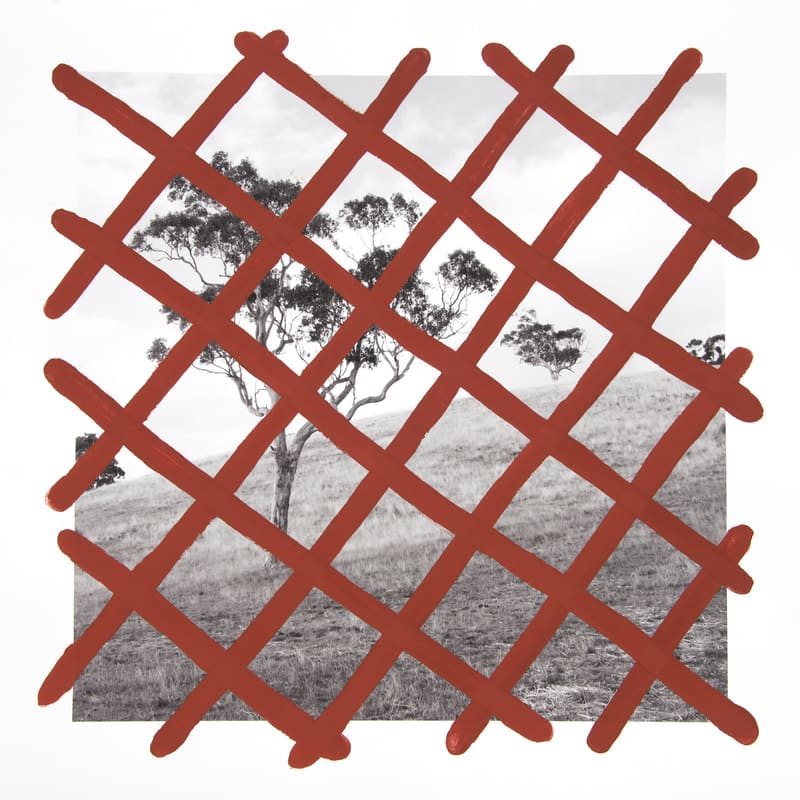 James Tylor, Turalayinthi Yarta (Marrimiyurna), 2017