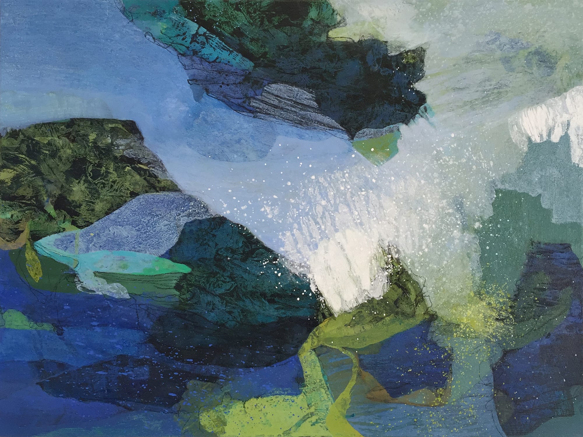 Shar Coulson, FaunaFloraFigure146