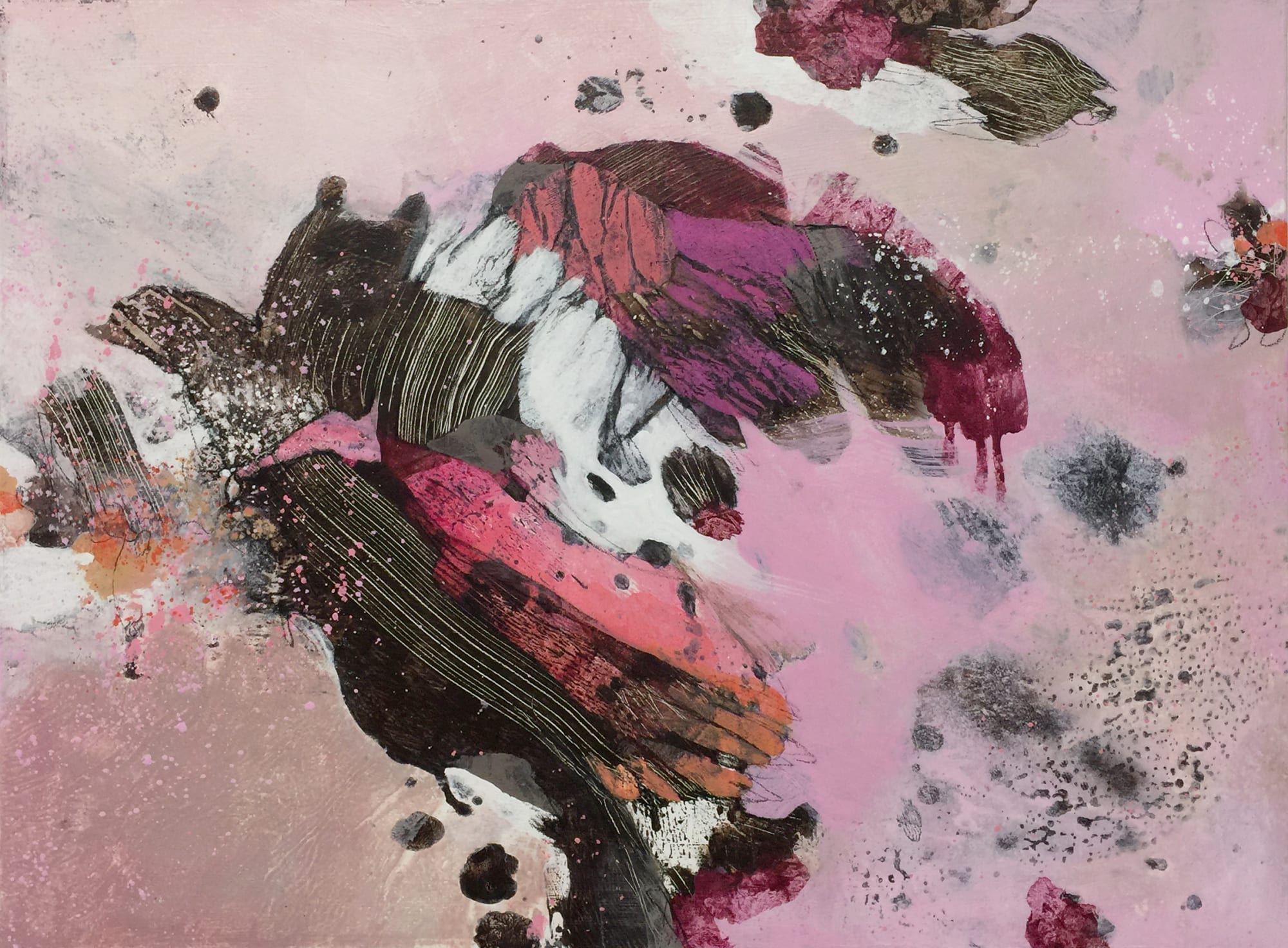 Shar Coulson, FaunaFloraFigure144