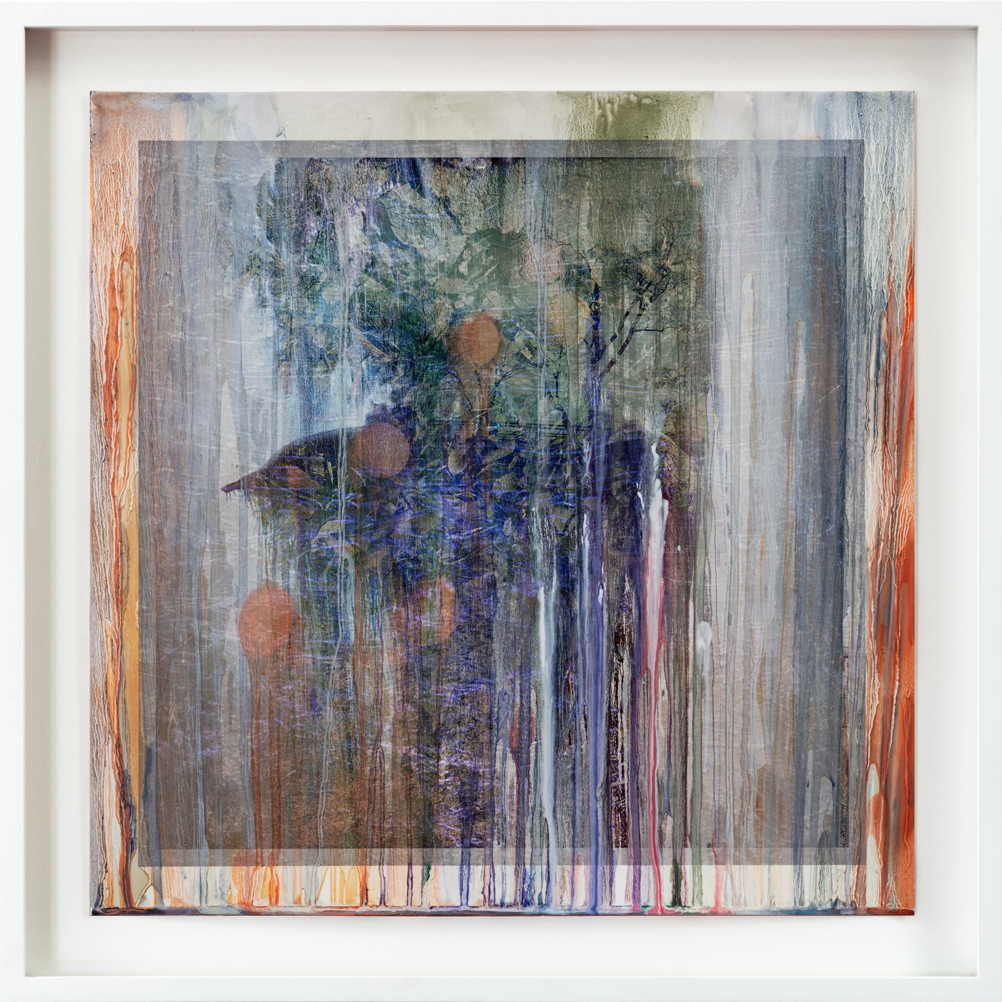 Lawrence Fodor, Tree 8: Napoli - Ercolano, Circa 2024