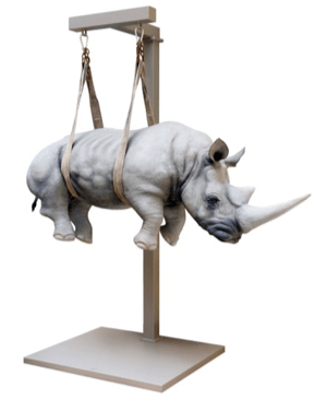 Stefano Bombardieri, Il peso del tempo sospeso / Rhino Monumentale Medio, 2013
