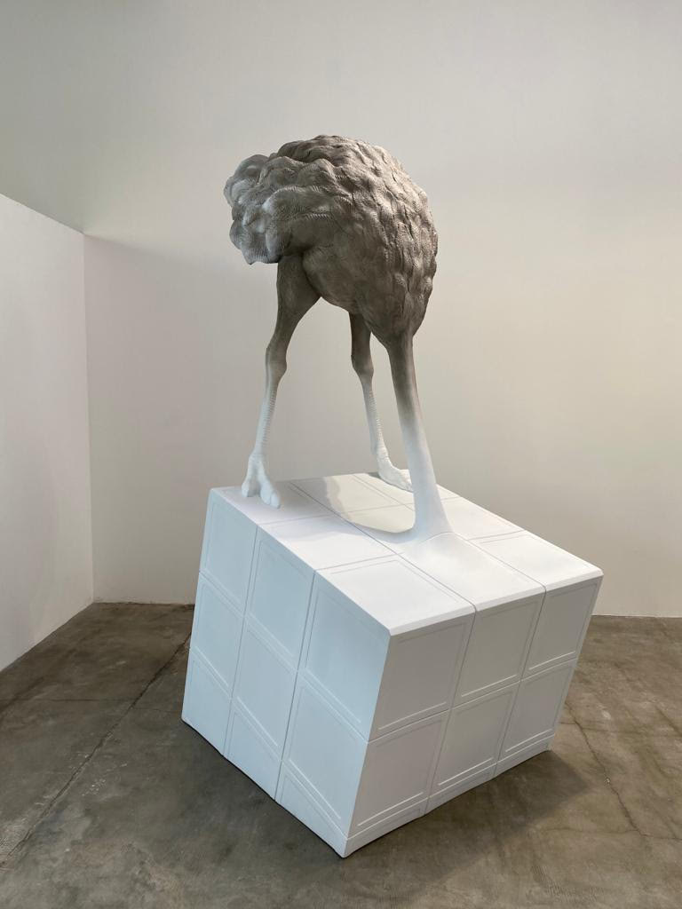 Stefano Bombardieri, Rubik White, 2019