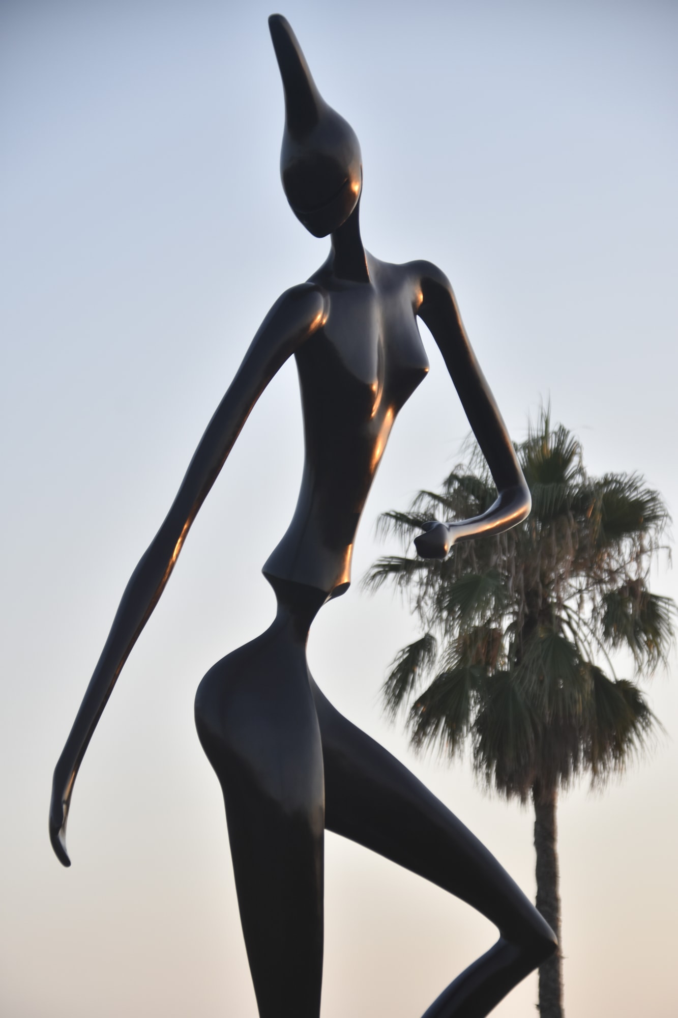 Antonio Signorini, Merope / Monumentale, 2022