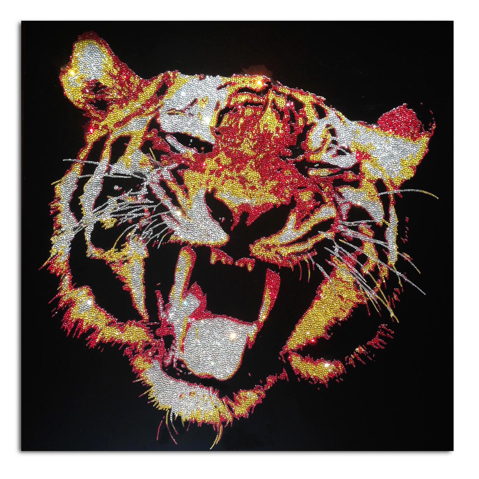 Roberta Diazzi, Angry Tiger, 2015