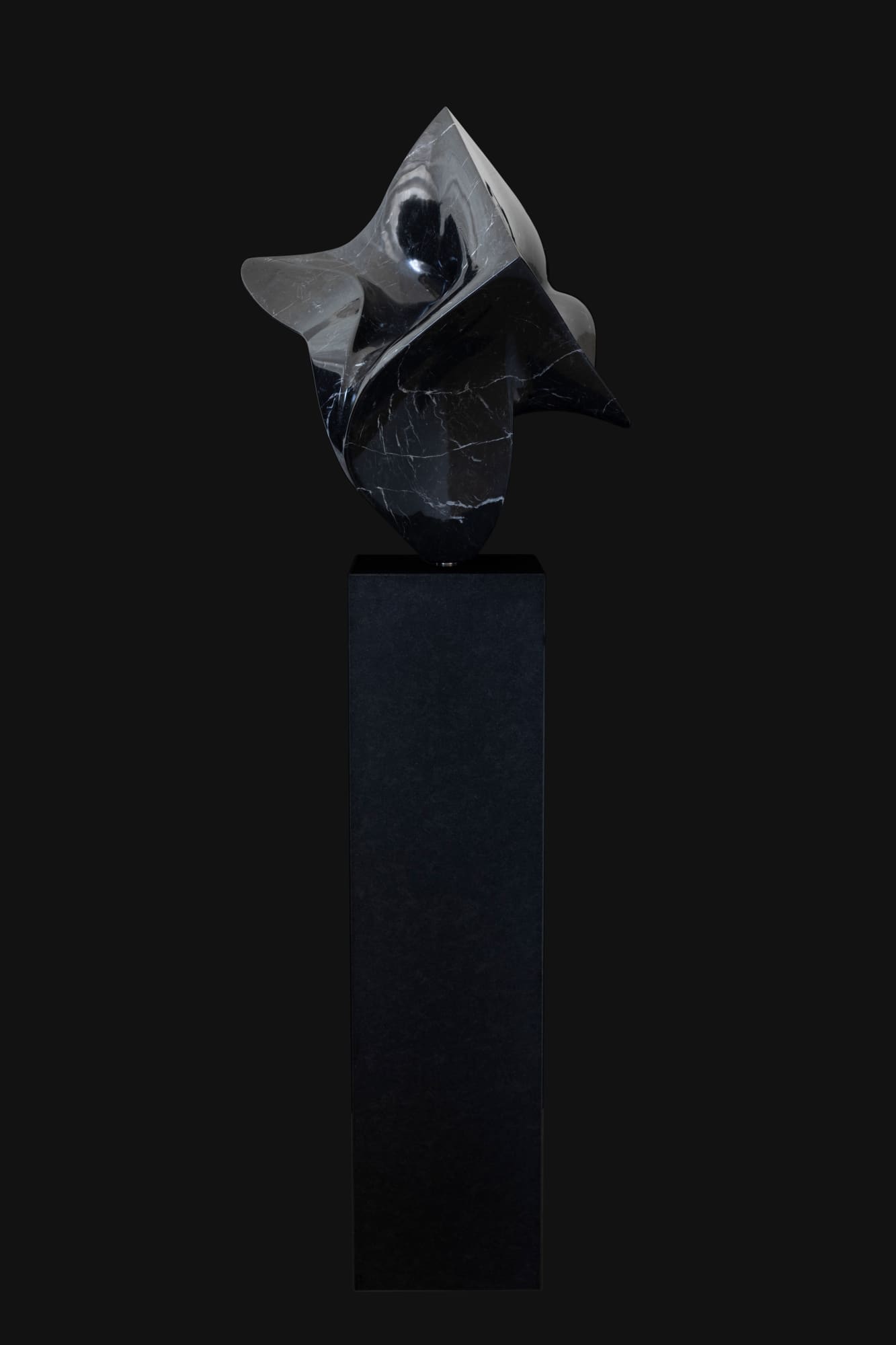 Gustavo Vélez, Geometria Circolare, 2022