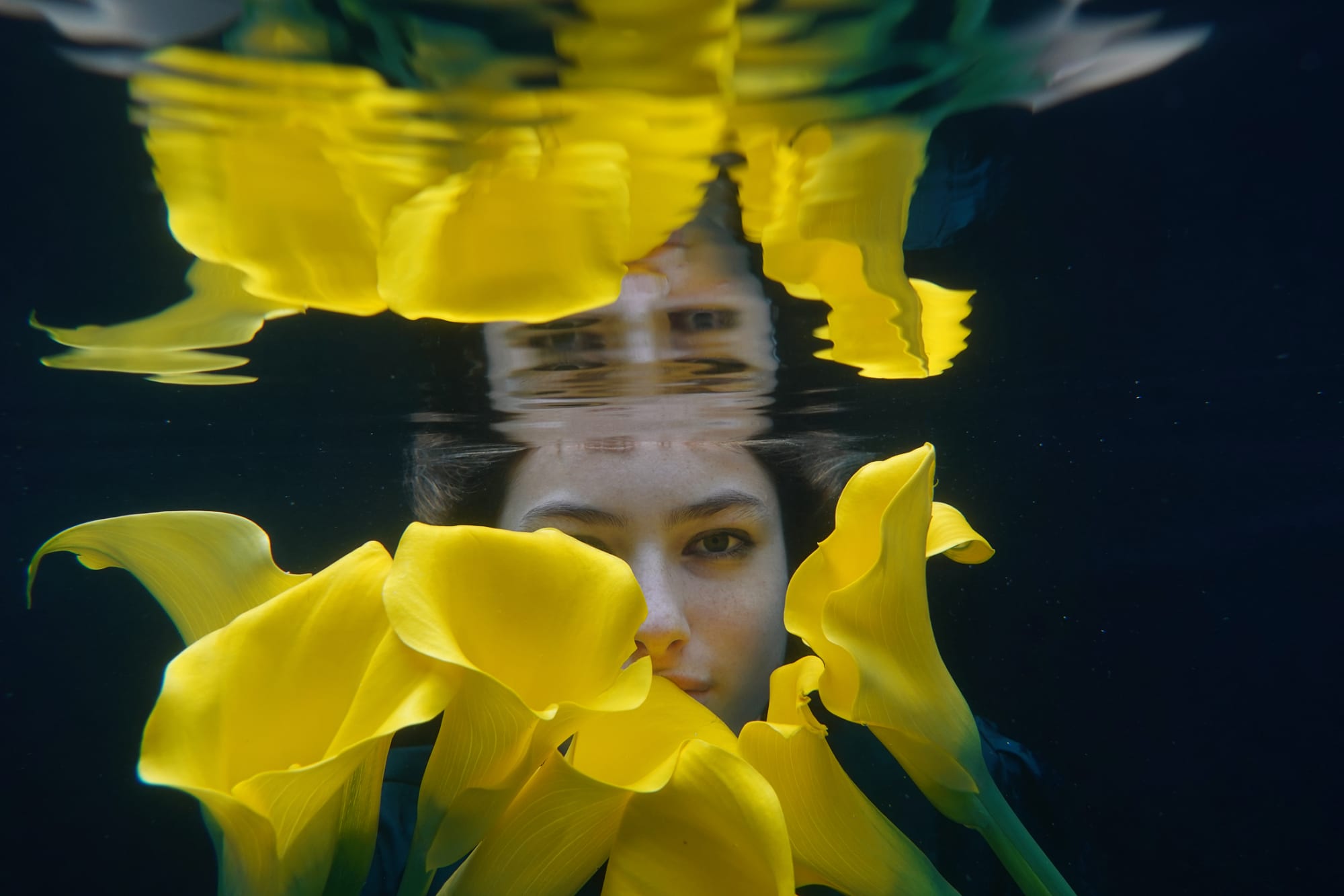 Yinon Gal-On, Yellow Calla, 2020