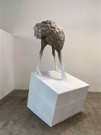 Stefano Bombardieri, Struzzo Rubik , 2019