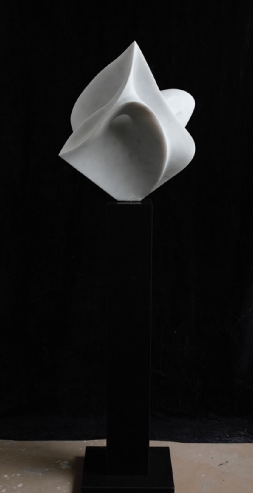 Gustavo Vélez, Fiore IV, 2022